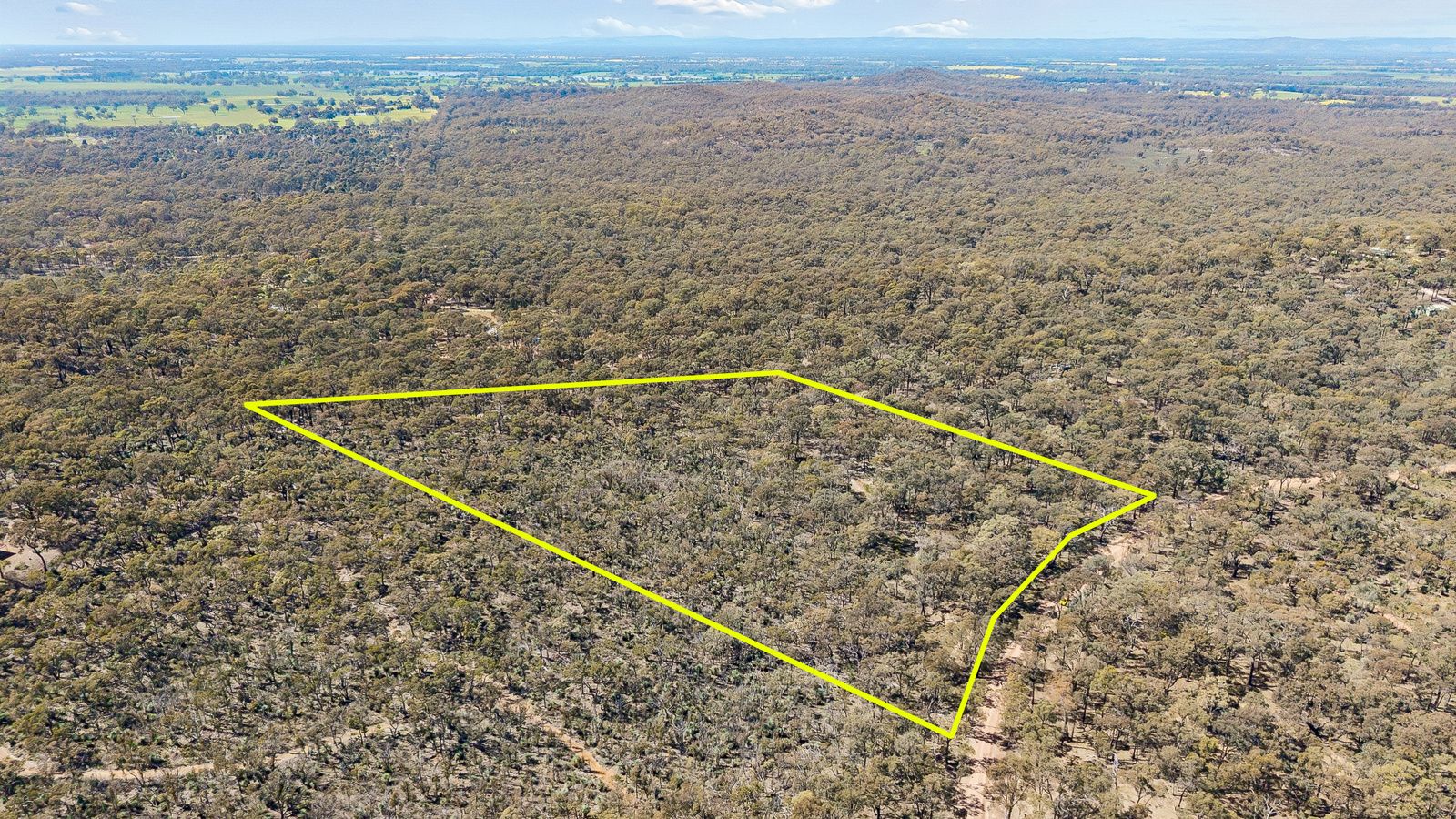 145 Gold Diggers Road — photo 4 of 4