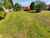 1308 Alexandra Street photo 6