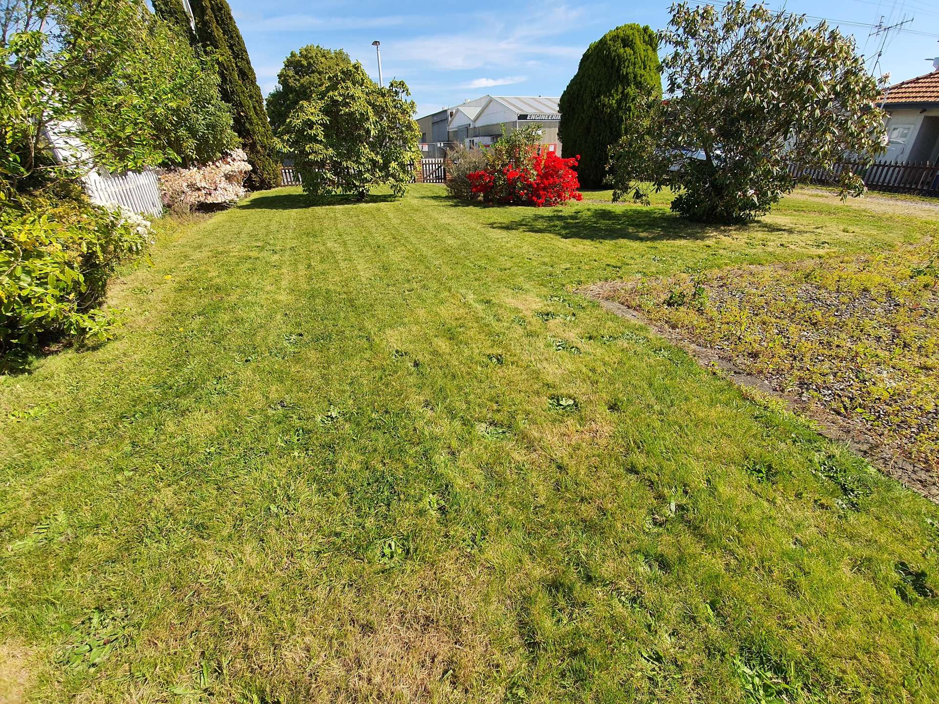 1308 Alexandra Street photo 6