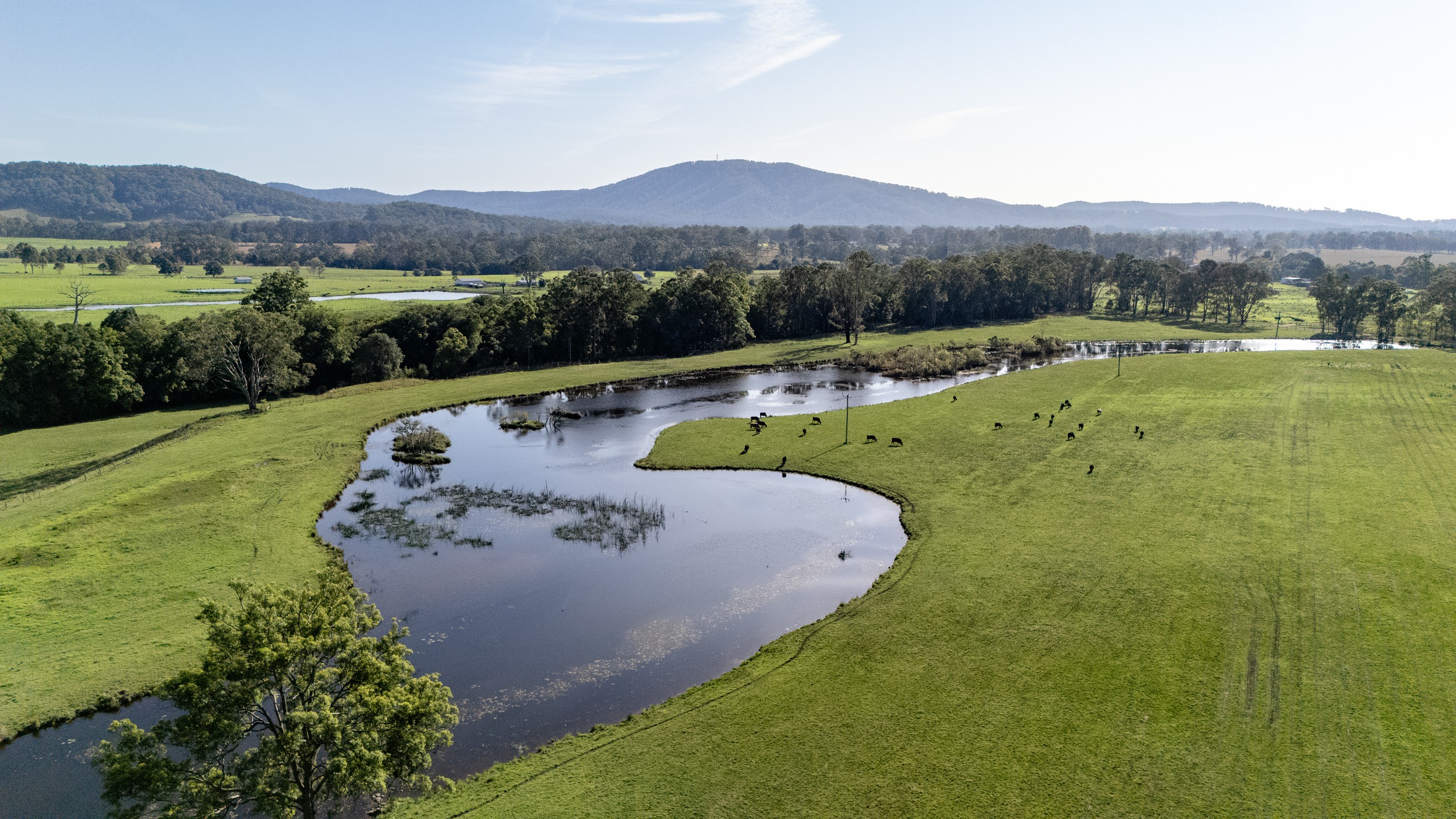 238 Dargavilles Road, Nabiac, NSW 2312