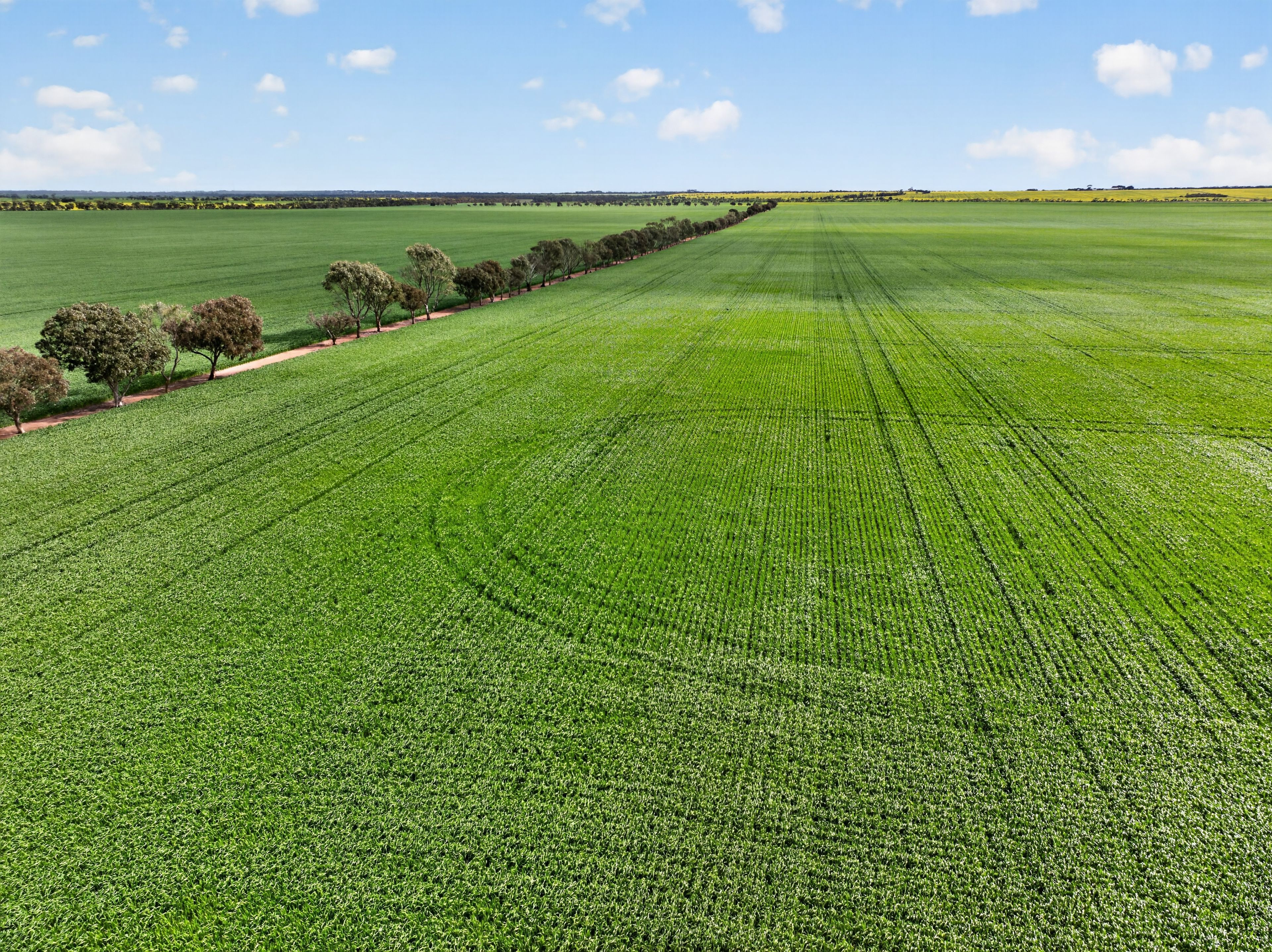 'Watervalley Farm' Broster Road — photo 10 of 22