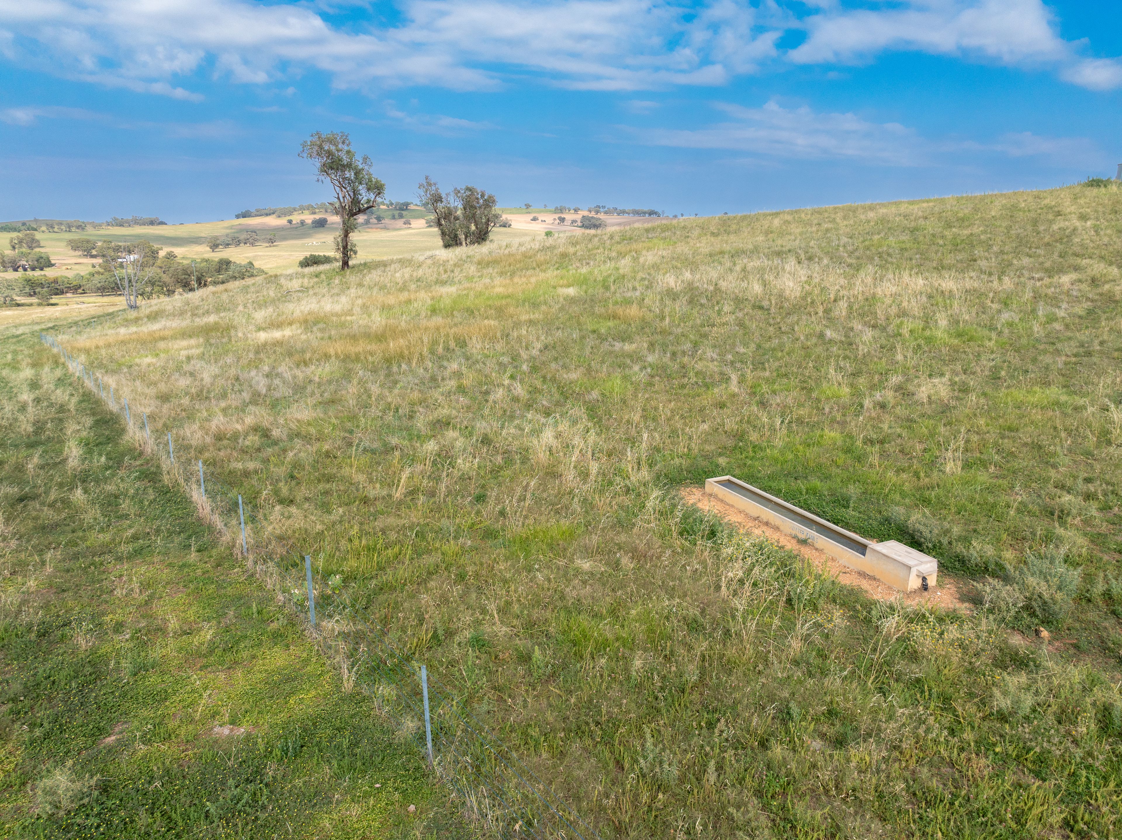 "Highfield East" "Highfield East" 170 Kurrajong Road, Cudal, NSW 2864 Rural Lifestyle