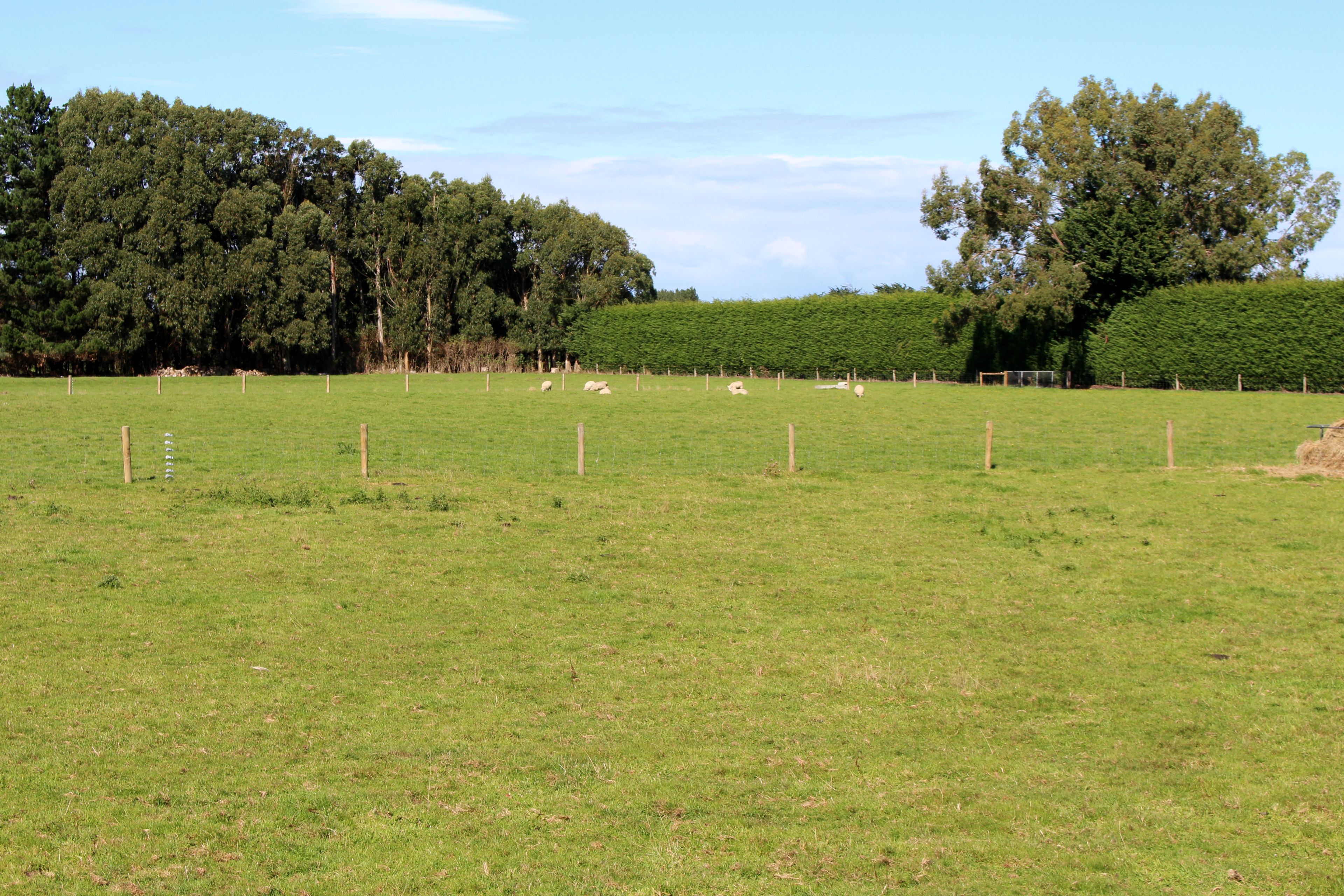 97B Wallacetown Lorneville Highway, Lorneville, Invercargill