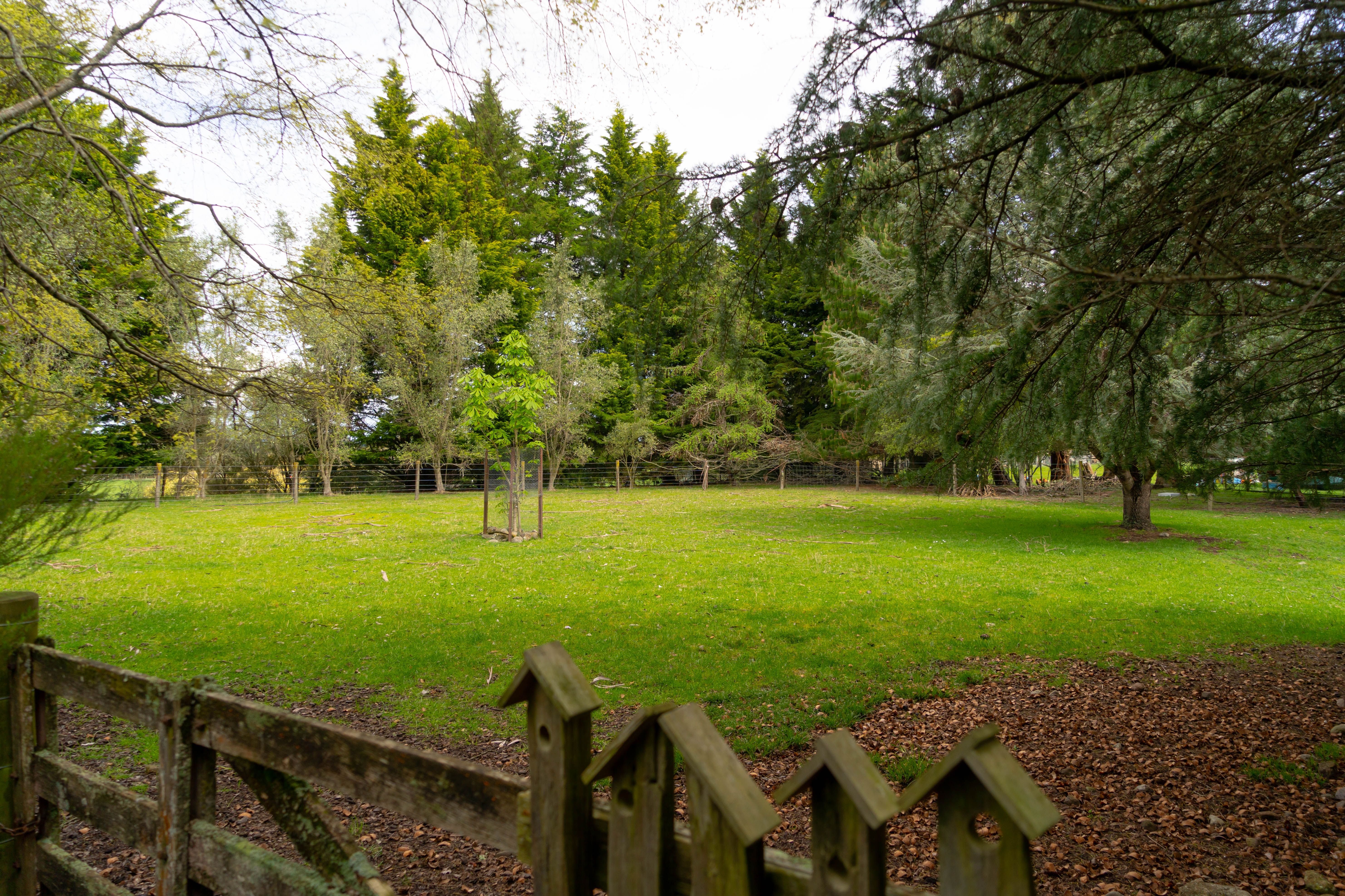 54 Tararua Drive, Masterton, Masterton District
