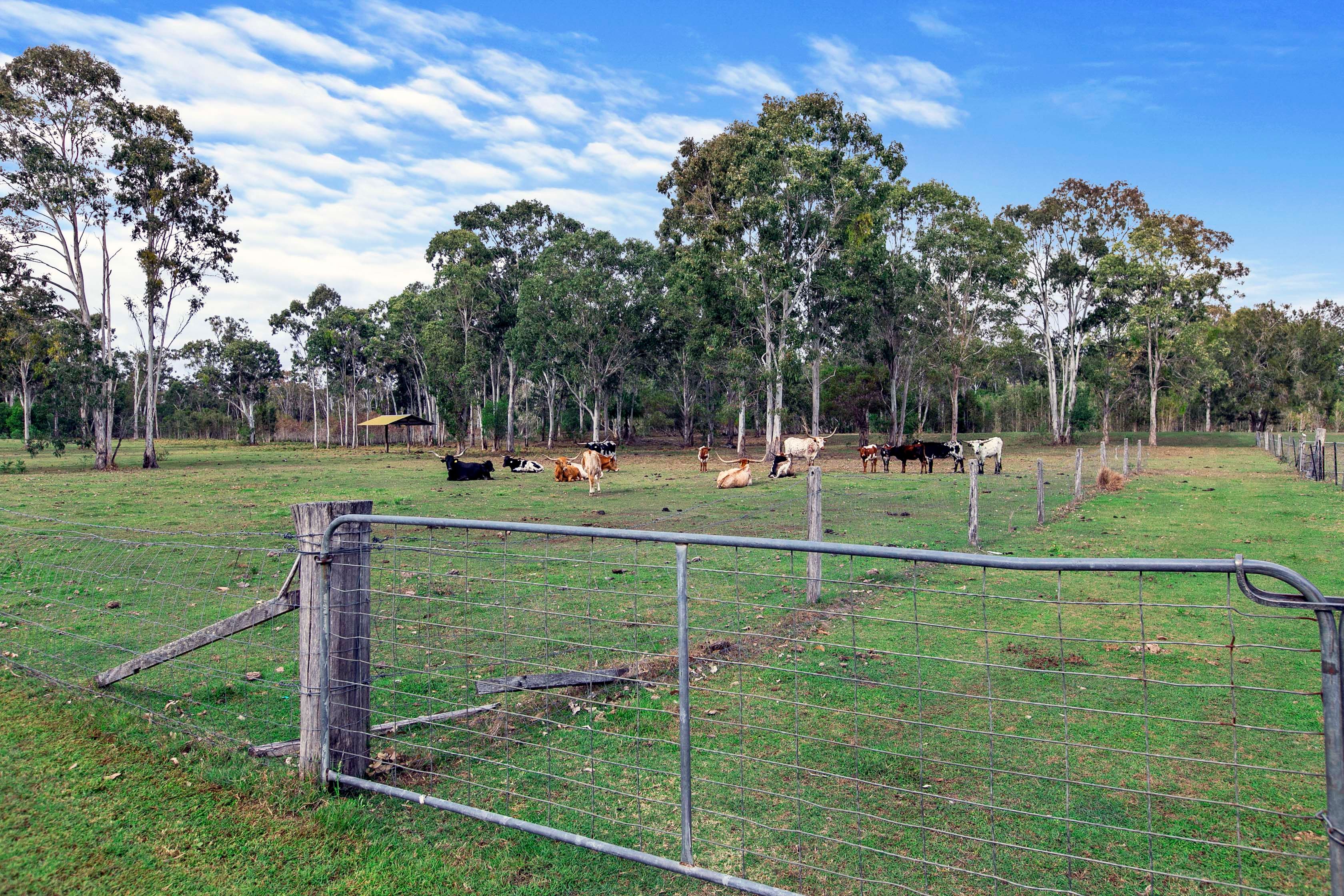 Lot 157 National Park Drive — photo 20 of 30