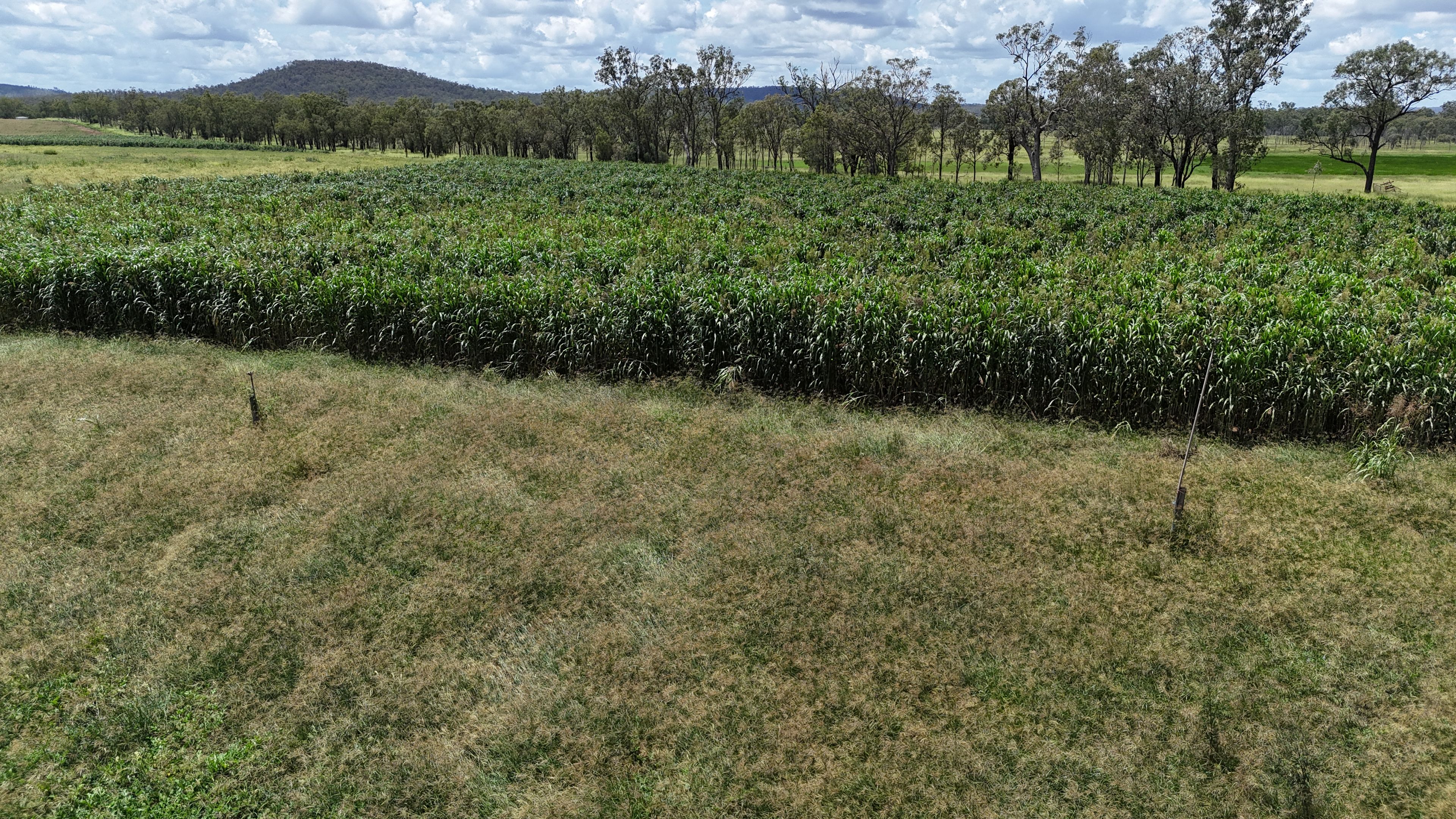 296 O'Bil Bil Road, Malmoe, Eidsvold, QLD 4627 Rural Property for