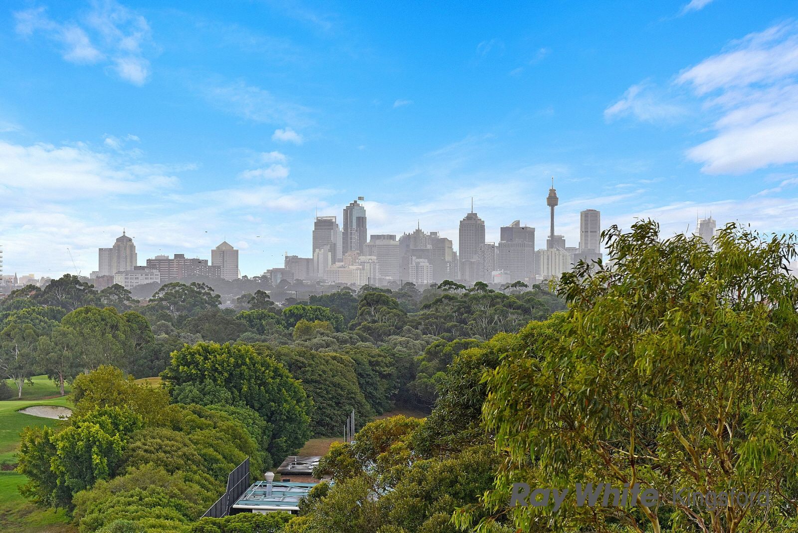 20 Boronia Street, Kensington NSW 2033