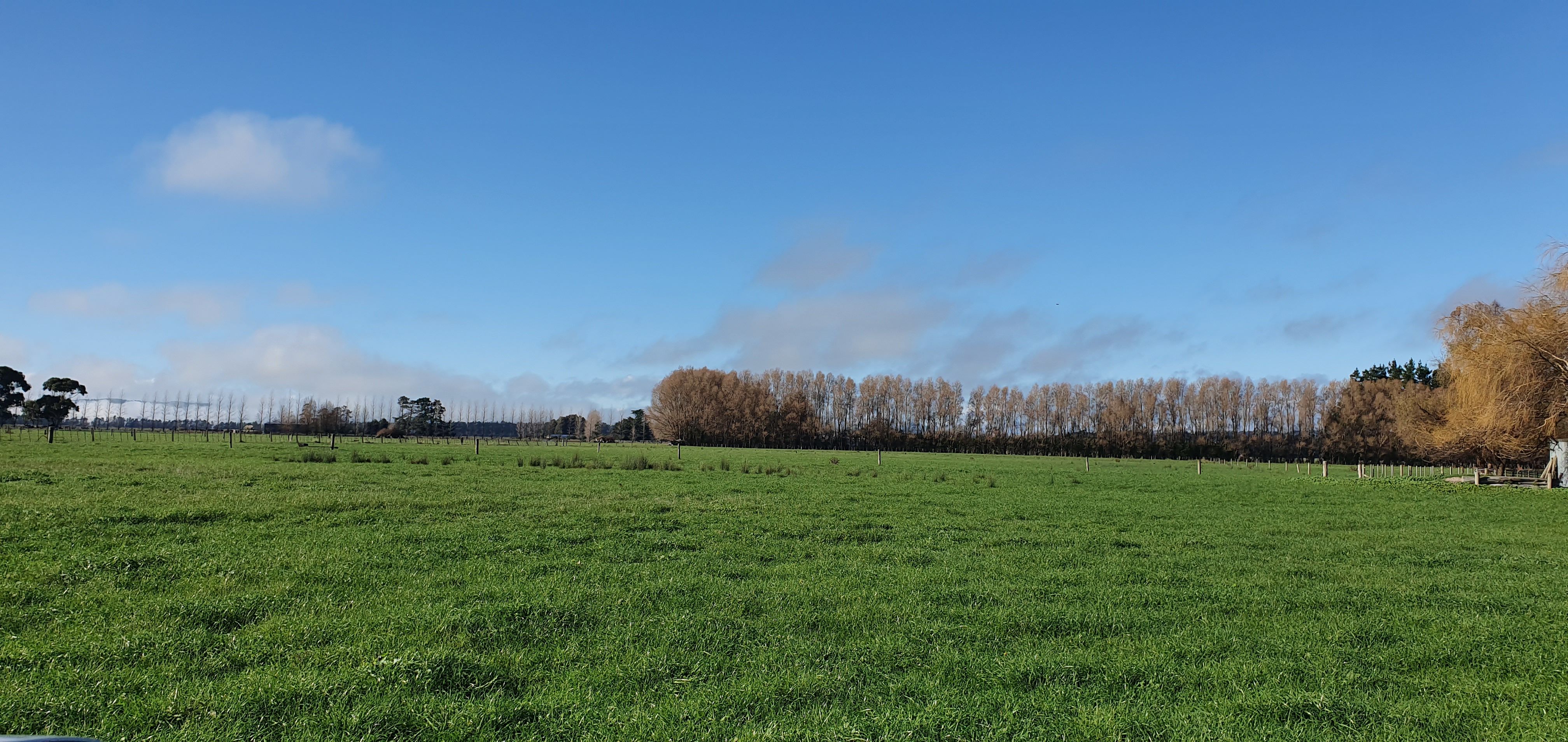 651 State Highway 53, Featherston, South Wairarapa District