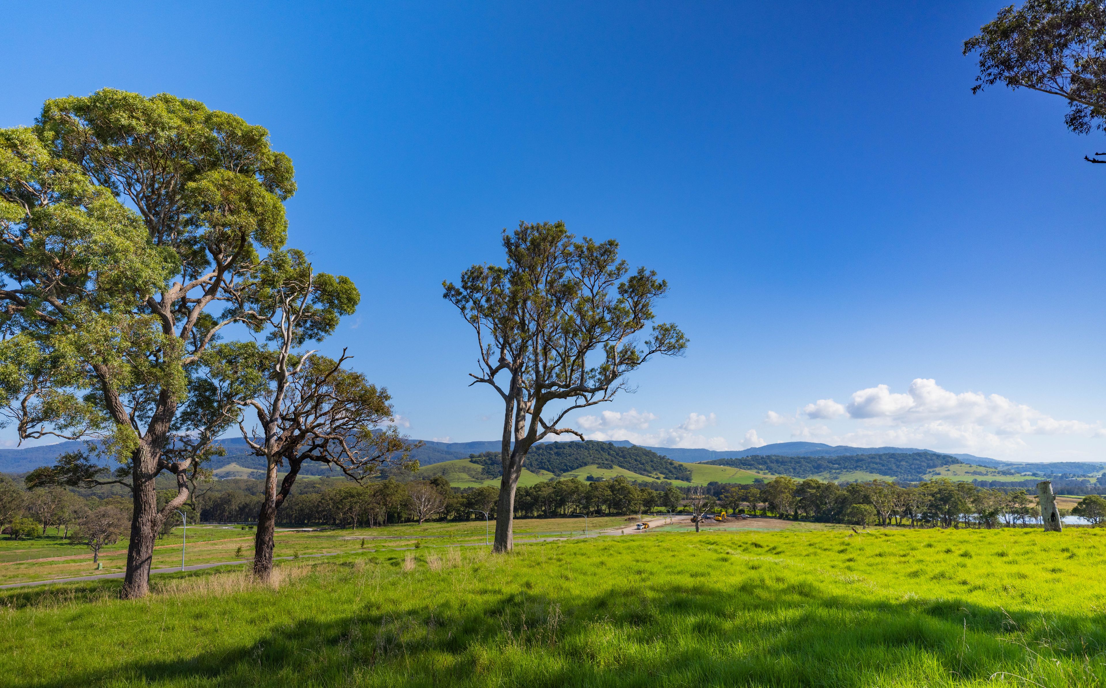 22 Serenity Ridge, Berry, NSW 2535 - Sold Land - Ray White Gerringong