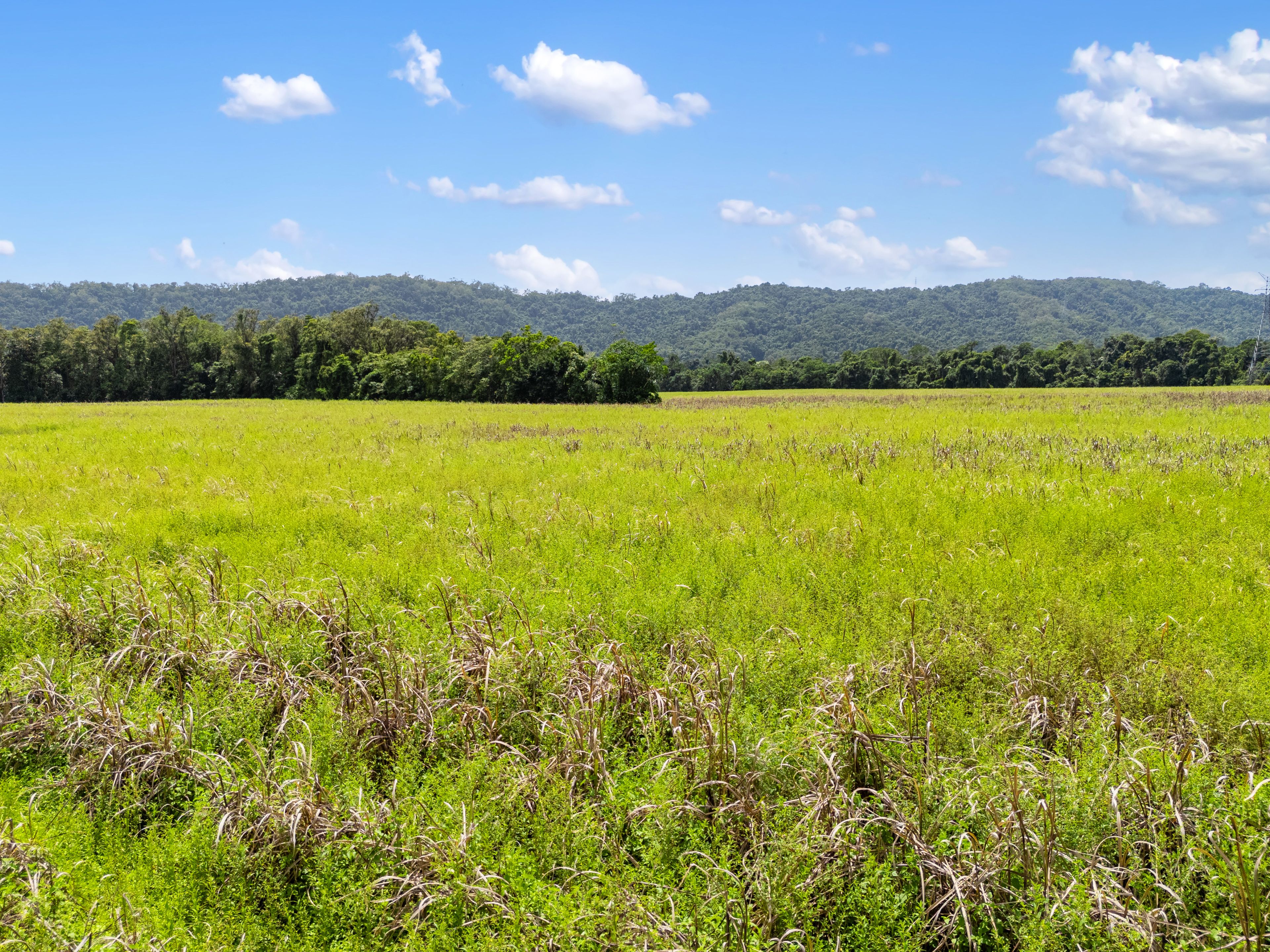 CASSOWARY ESTATE - Affordable lifestyle acreage lots — photo 20 of 23