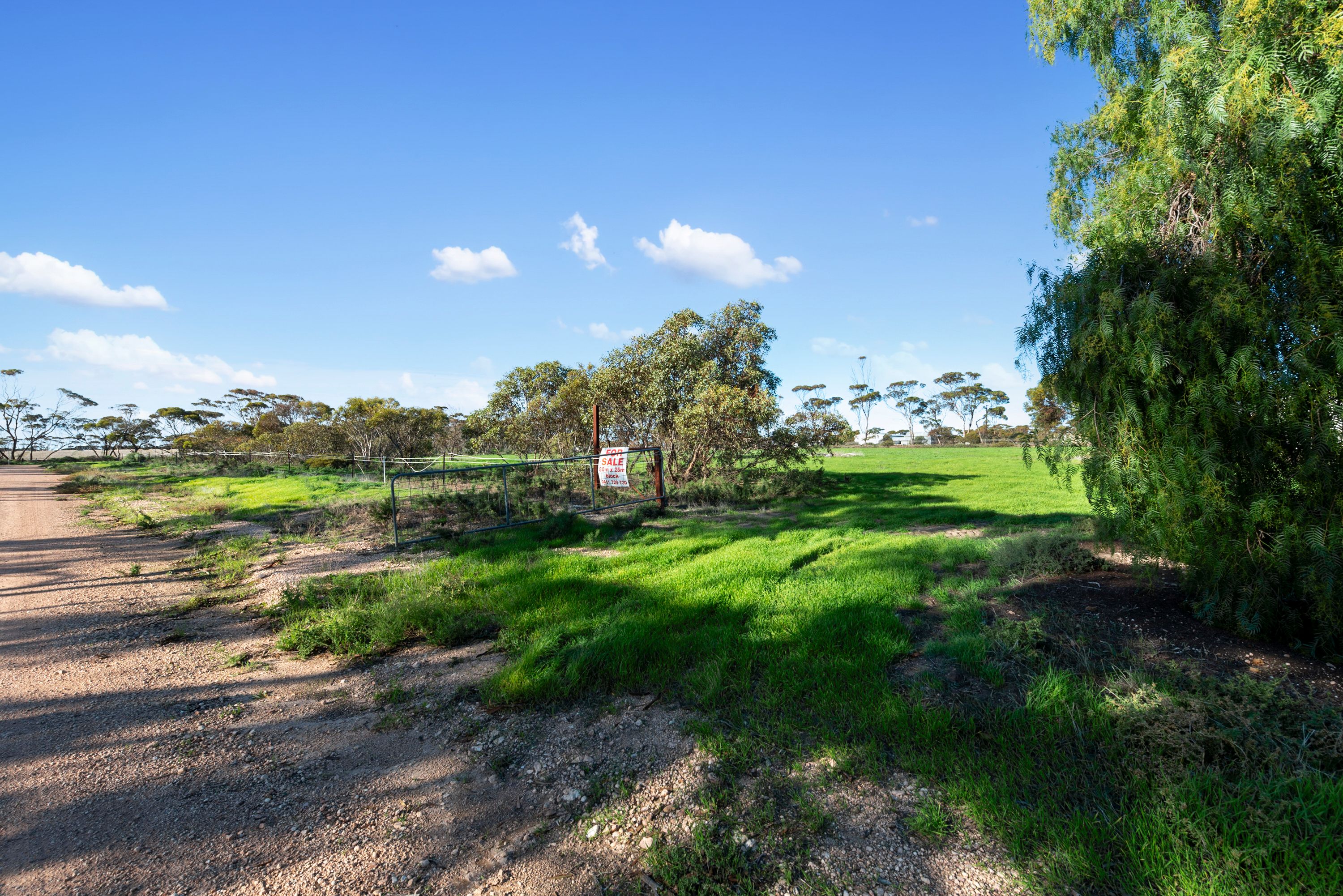 Lots 125 & 126 High Street, Alford, SA 5555