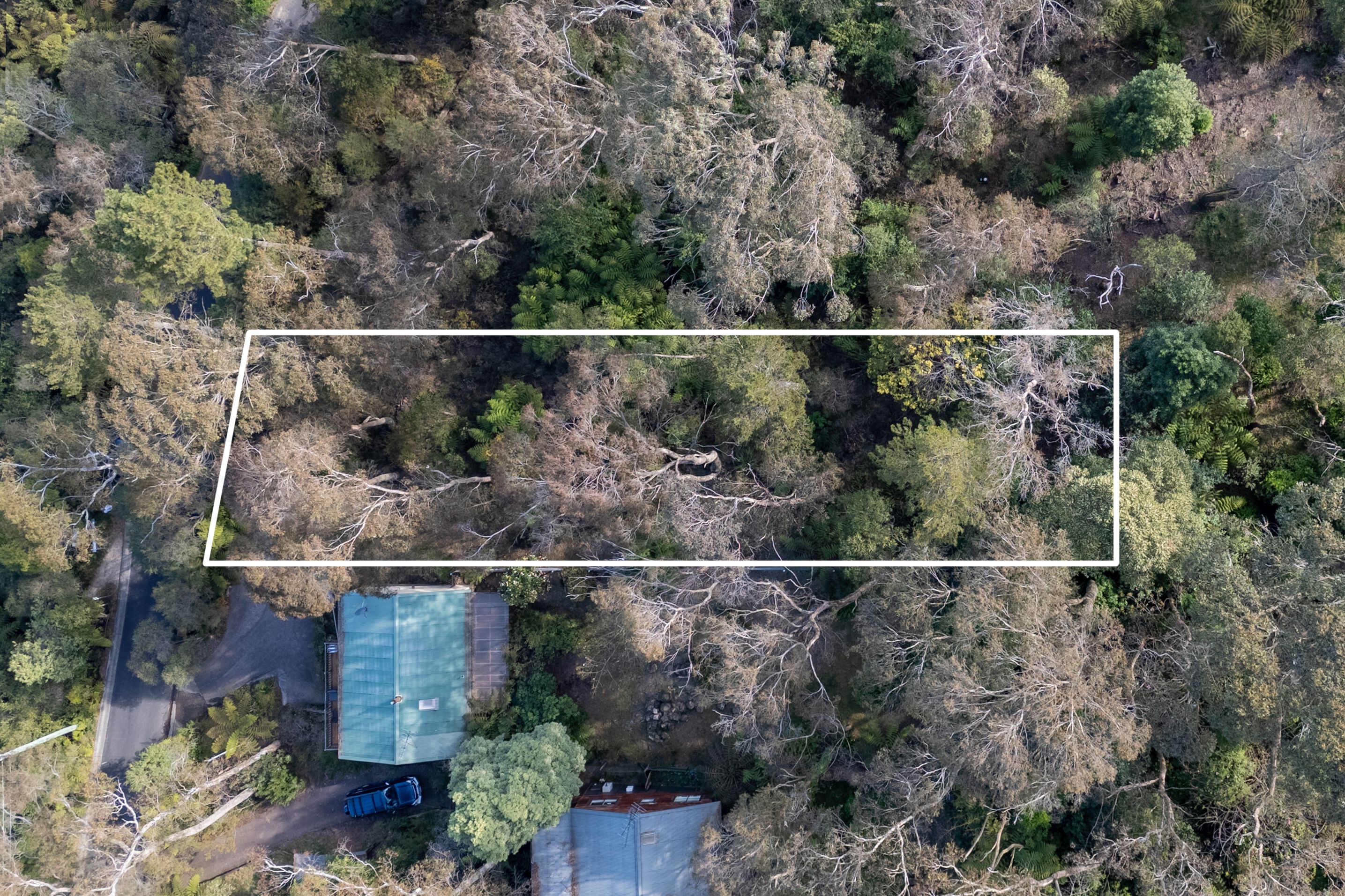 51 Dell Street, Blackheath, NSW 2785