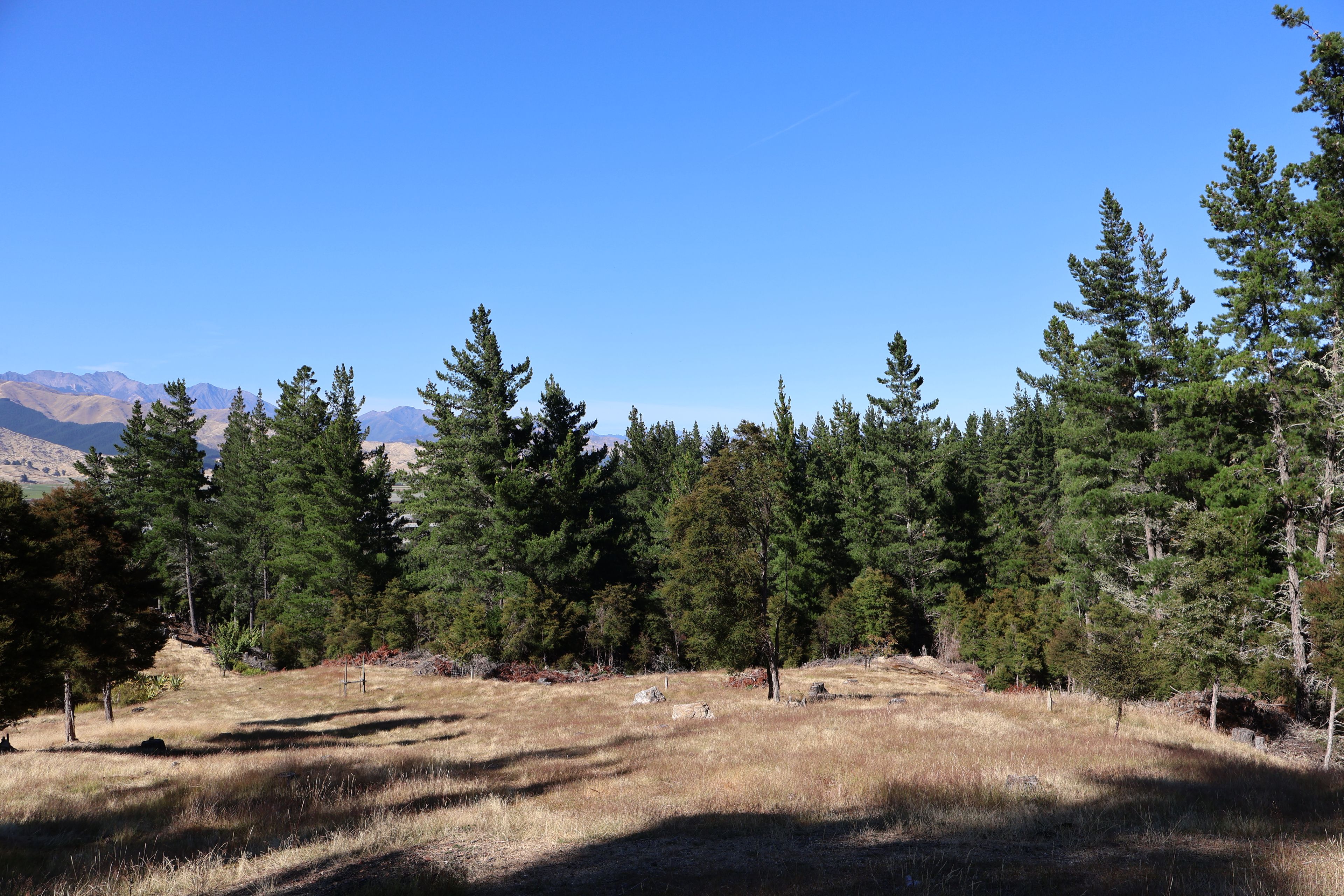 3964 Northbank Road, Wairau Valley, Marlborough District