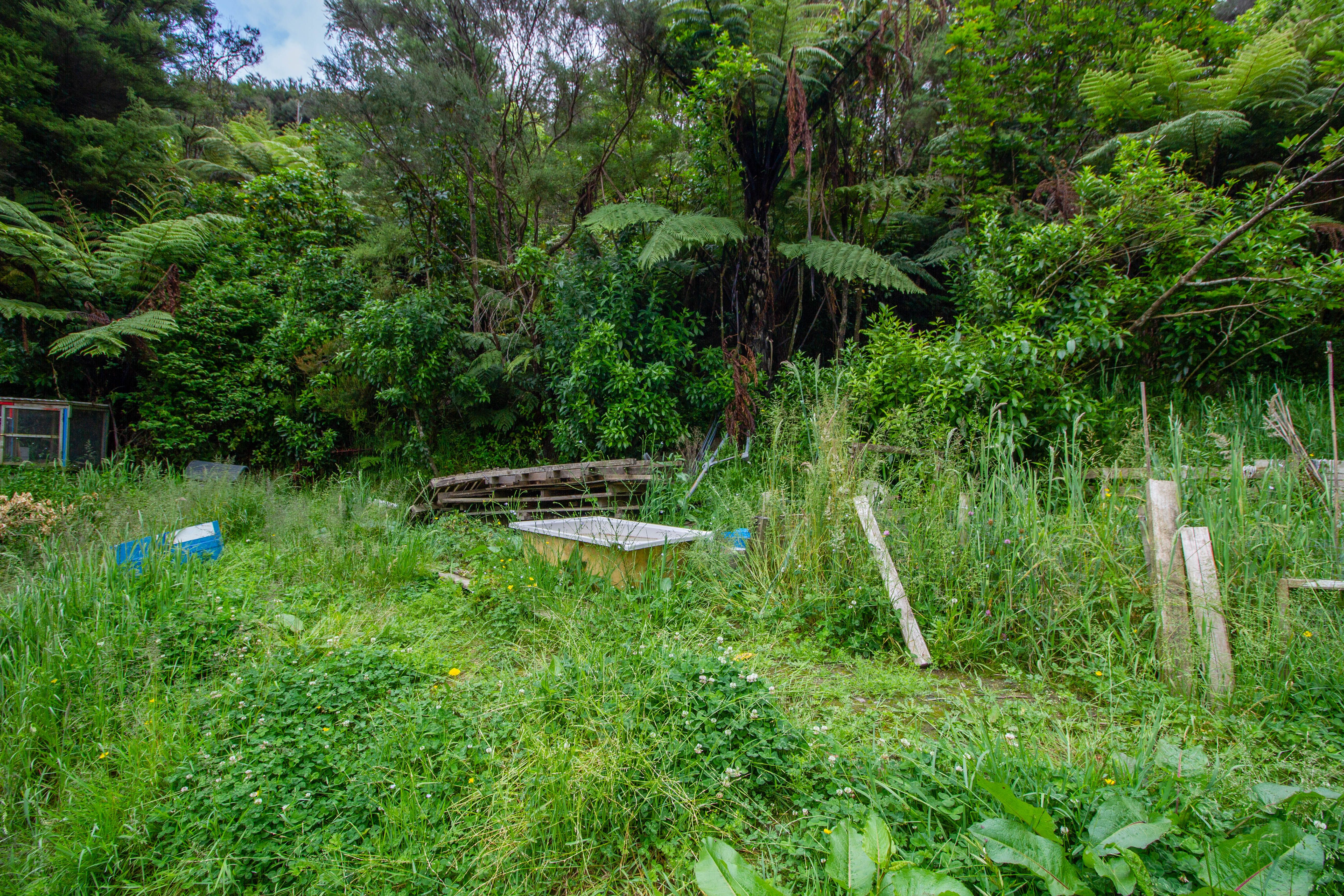 77 Bird Grove, Stokes Valley, Lower Hutt City