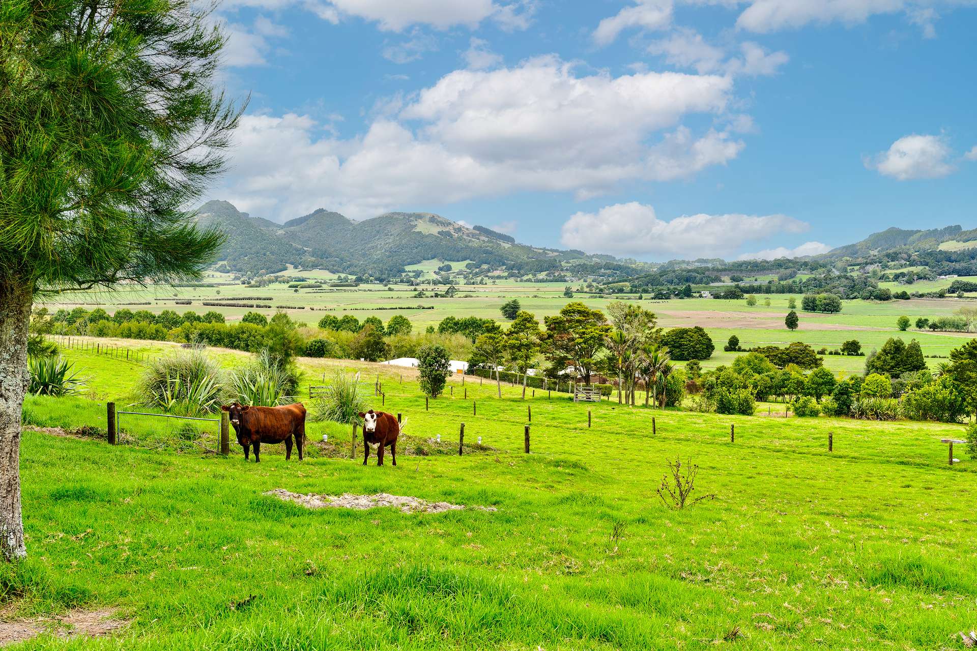 14 Matarau Road photo 1