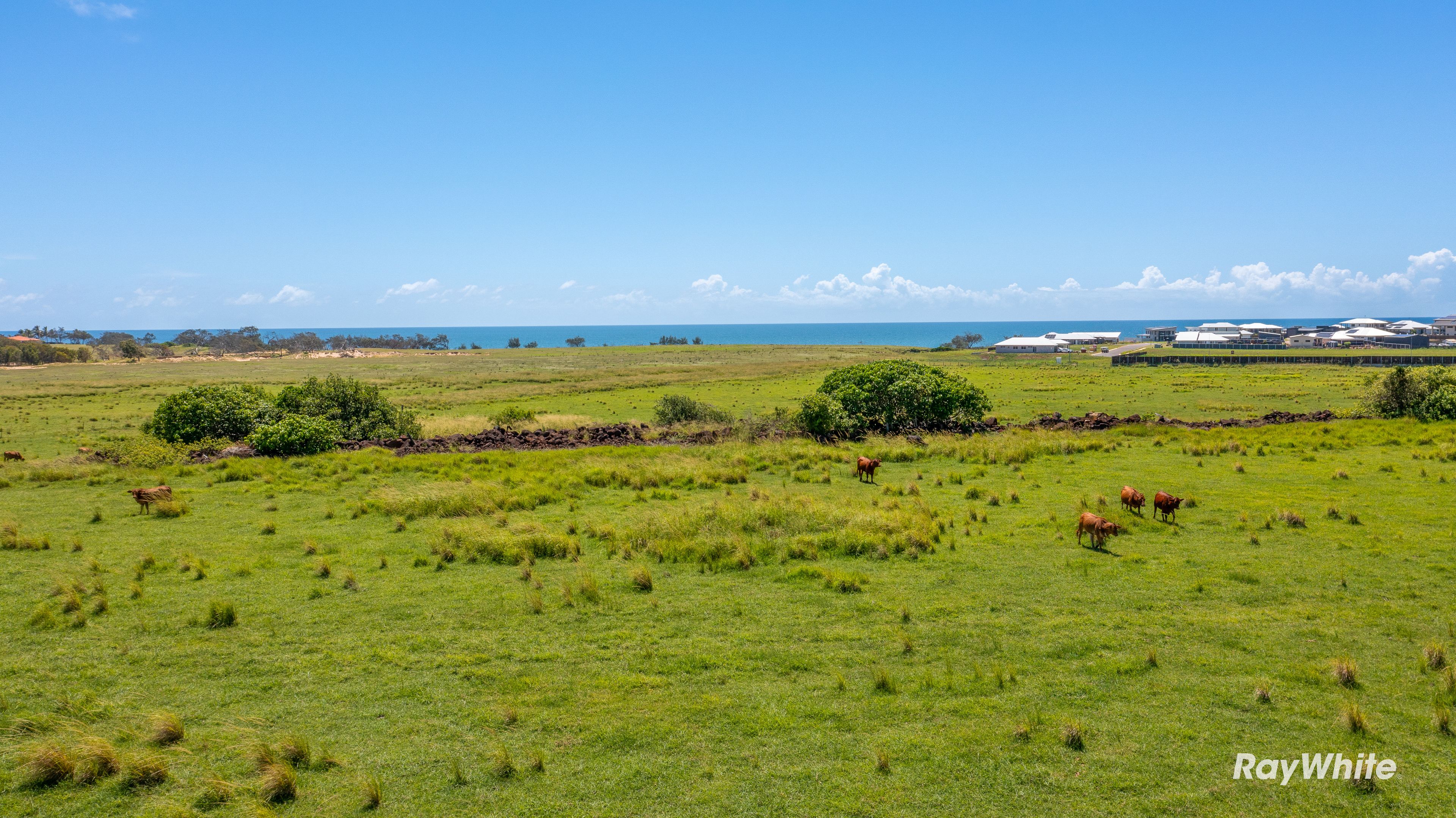 131 Atkinsons Road, Elliott Heads, QLD 4670 Land for Sale Ray White