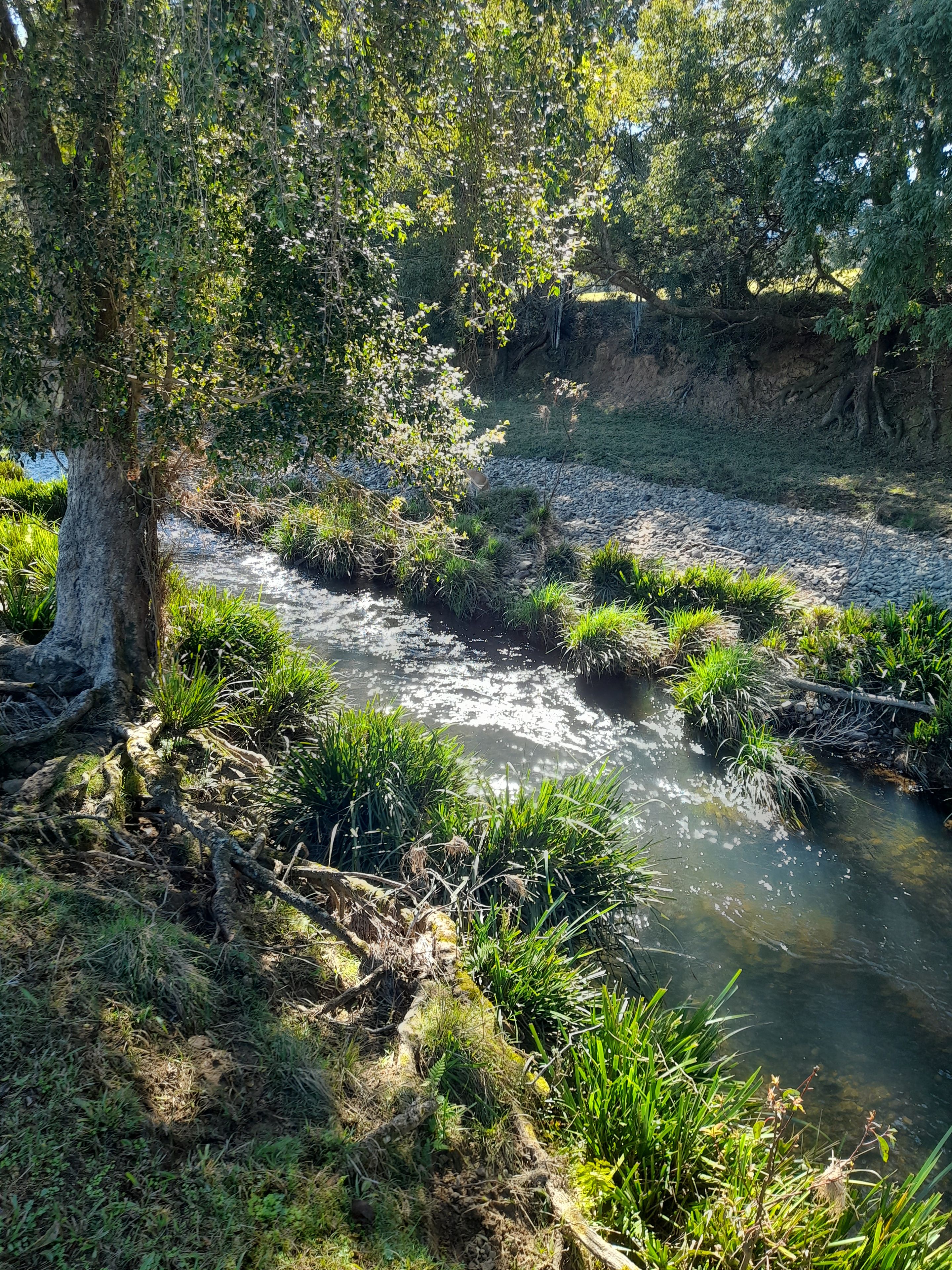 160 Upper Crystal Creek Road, Upper Crystal Creek, NSW 2484