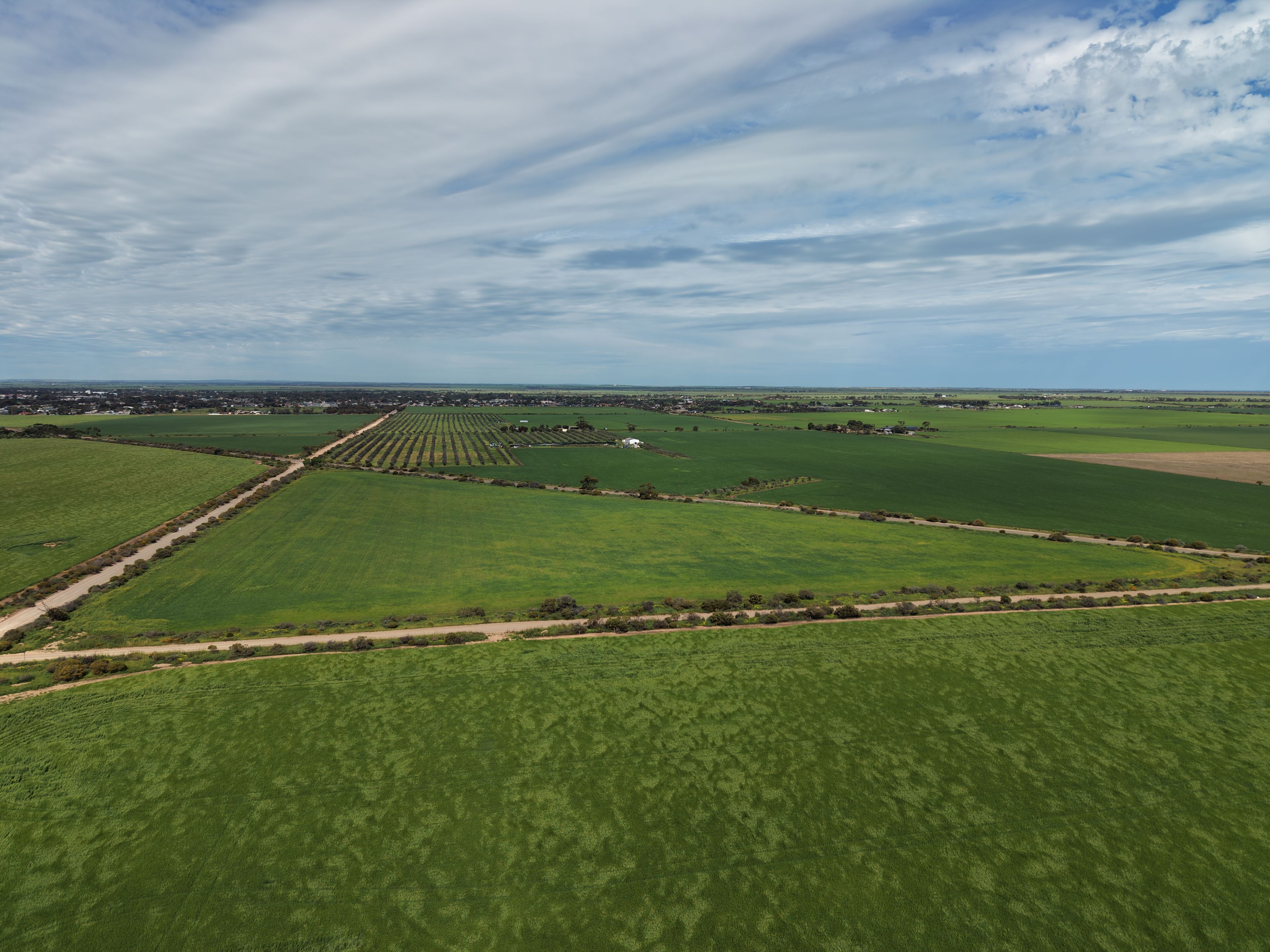 Kadina, SA 5554