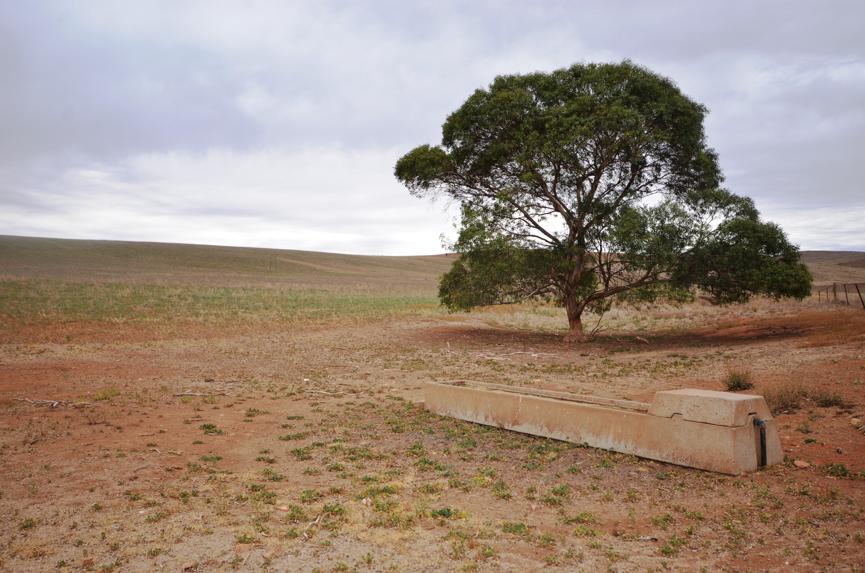 Pattersons Road, GULNARE, SA 5471