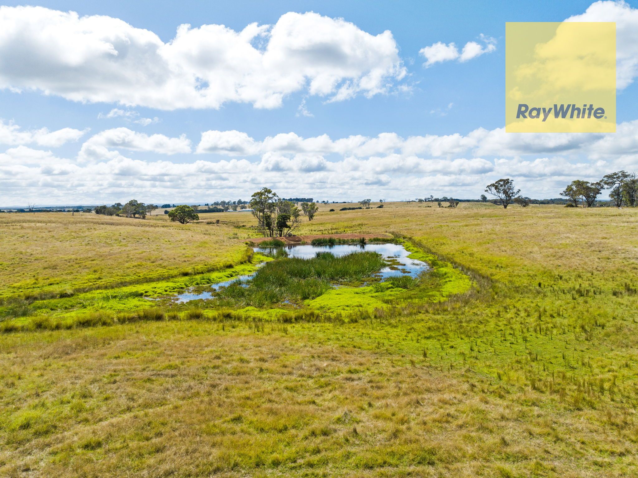 211 Fernleigh Close, Goulburn, NSW 2580 Sold Acreage/SemiRural Ray