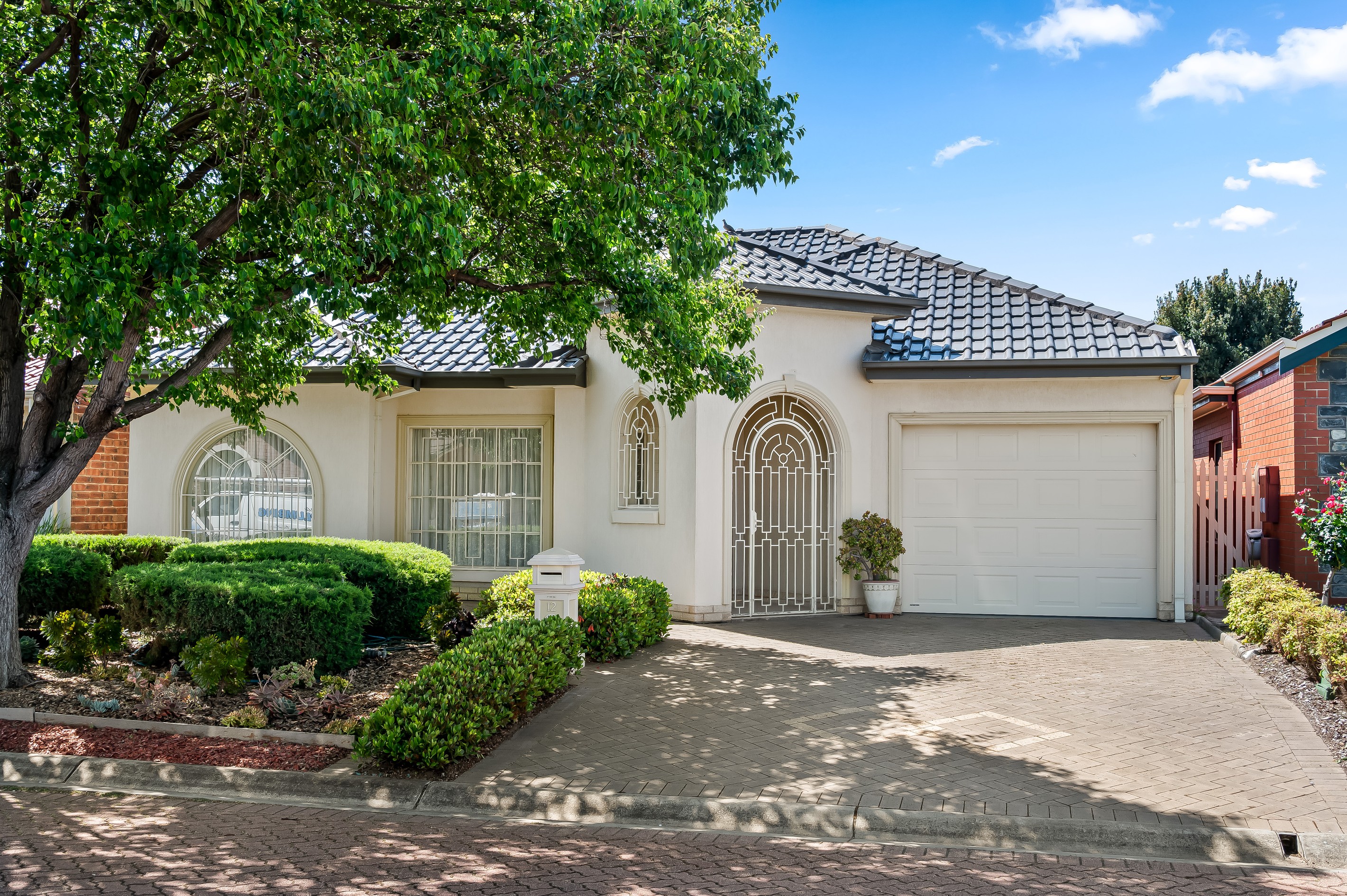 12 Pampas Court, Grange, SA 5022