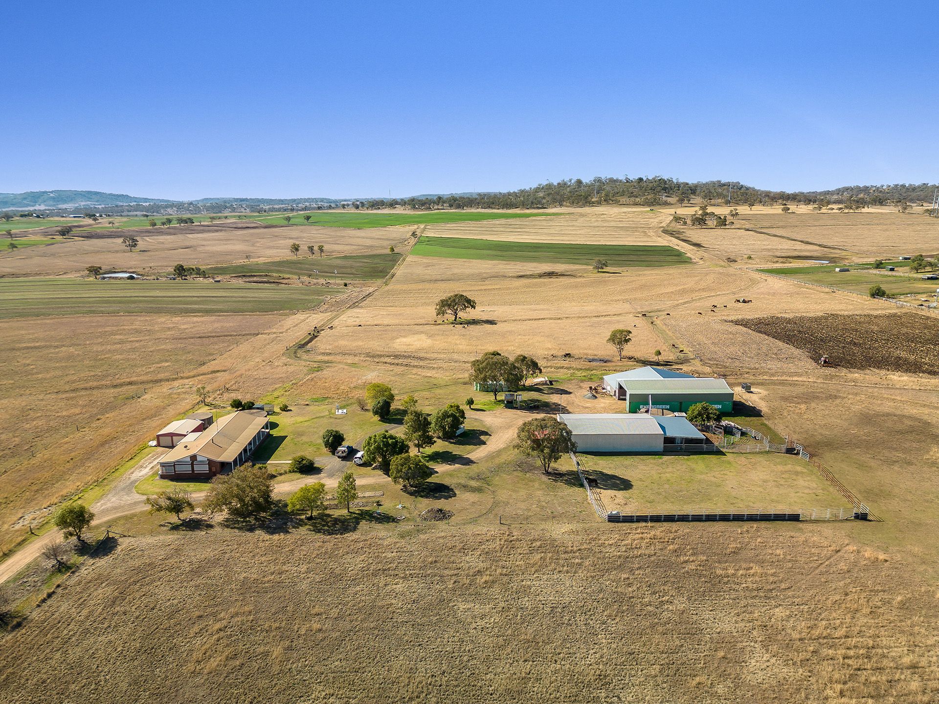 Ray White Rural Toowoomba