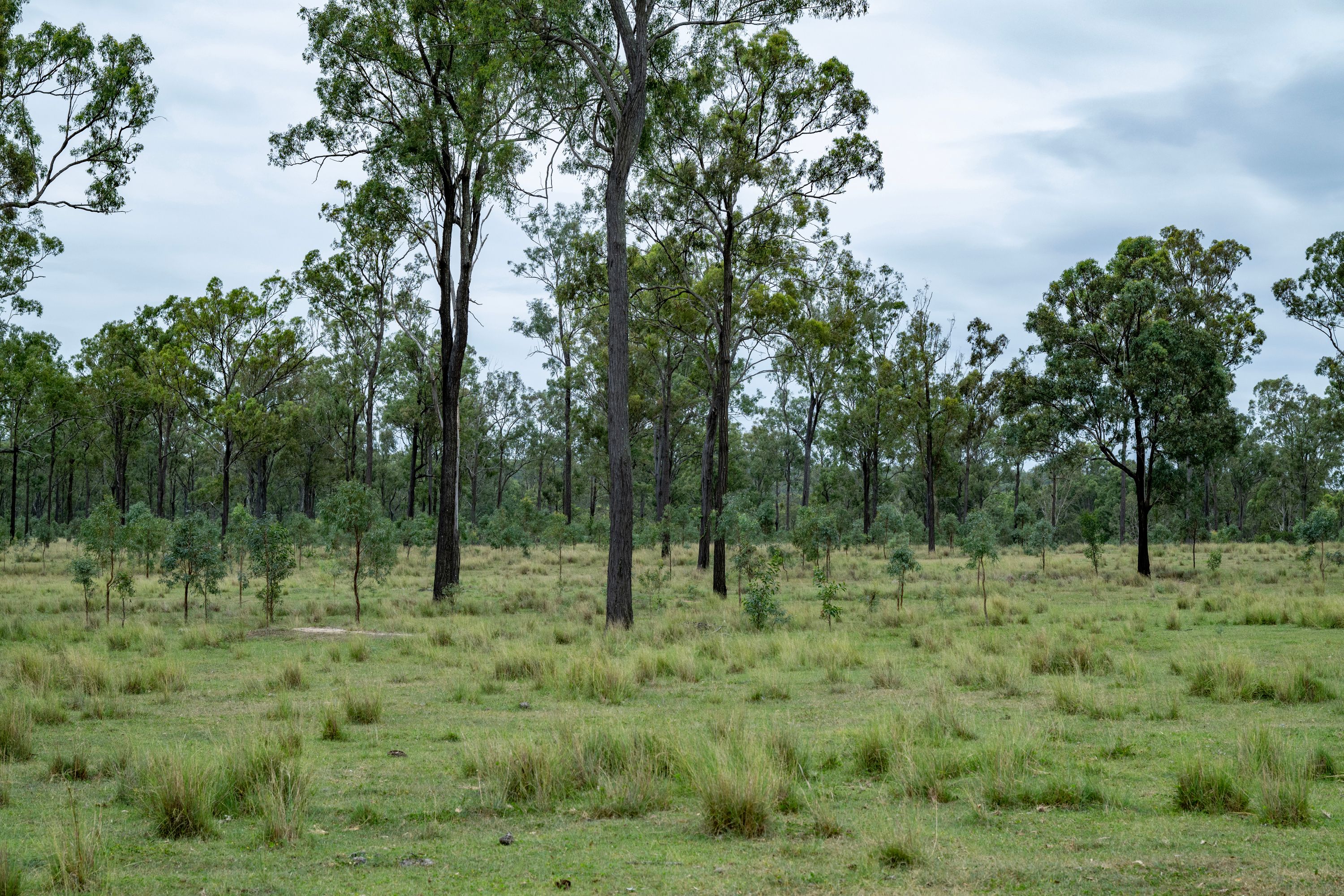 250 Nanango Tarong Road — photo 27 of 30
