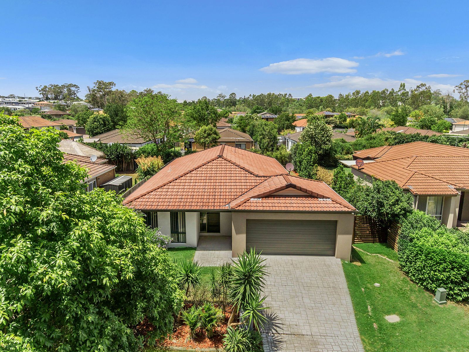 49 Macaranga Crescent, Carseldine QLD 4034