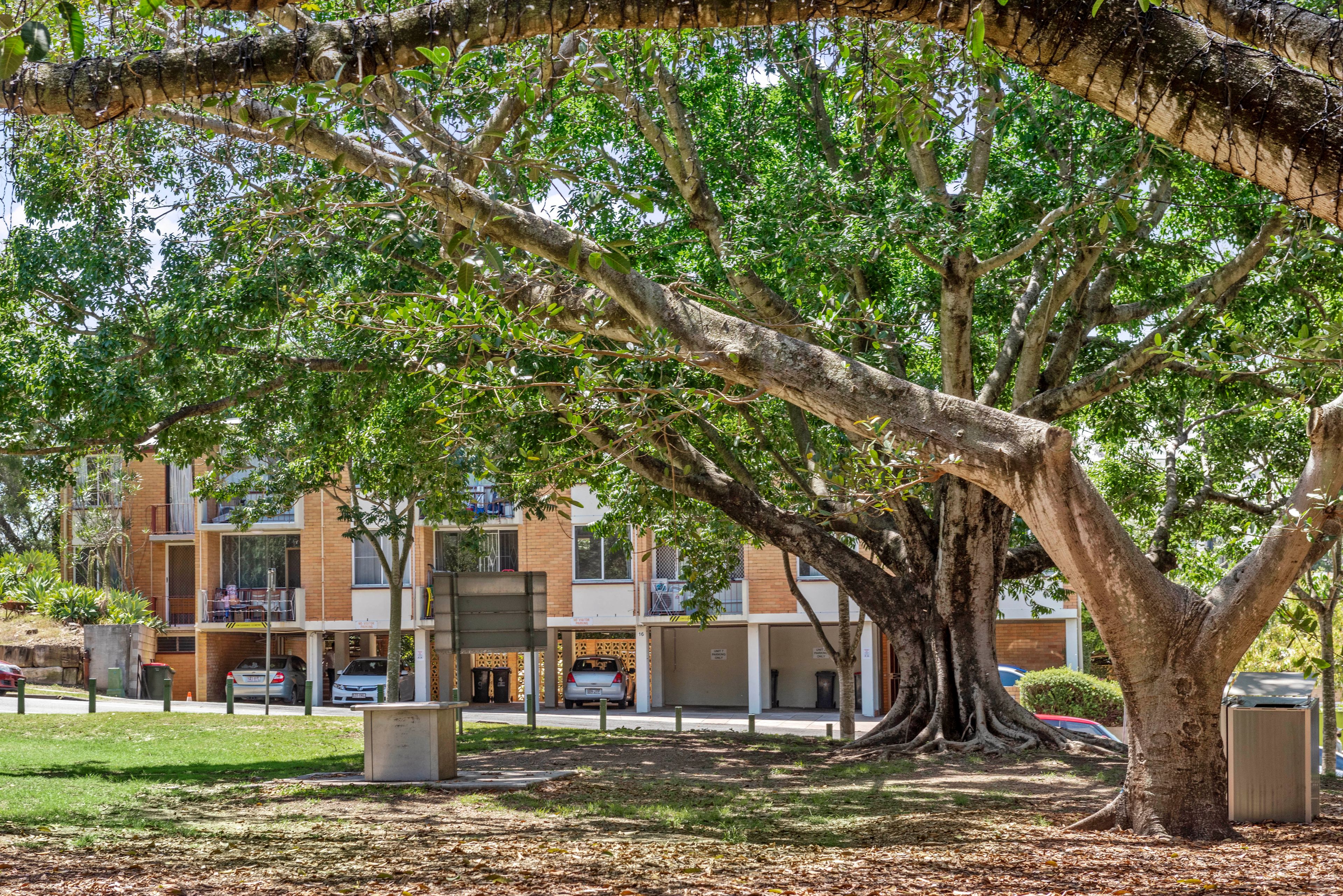 16 Blamey Street, Kelvin Grove QLD 4059