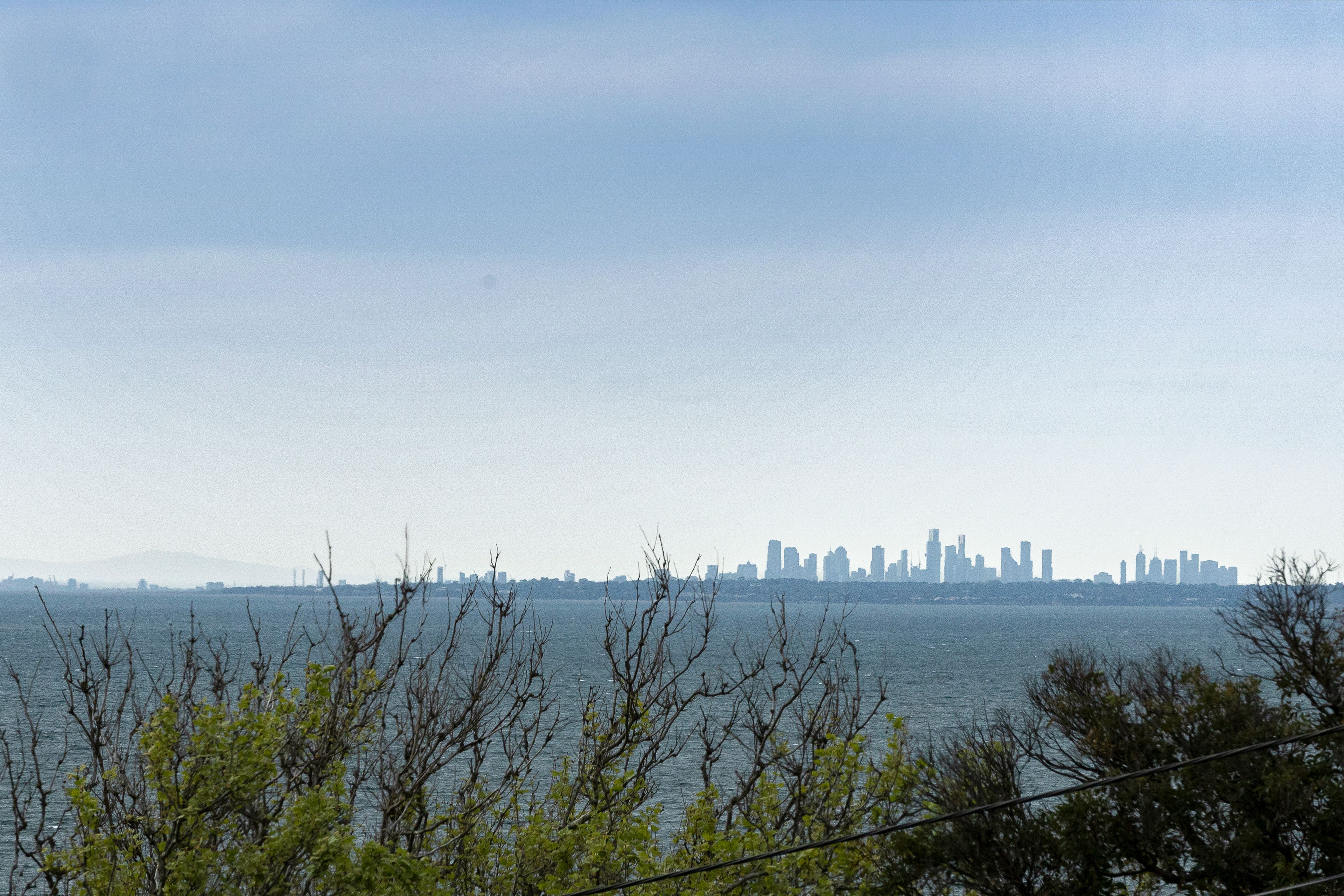 38C Violet Street — photo 6 of 30