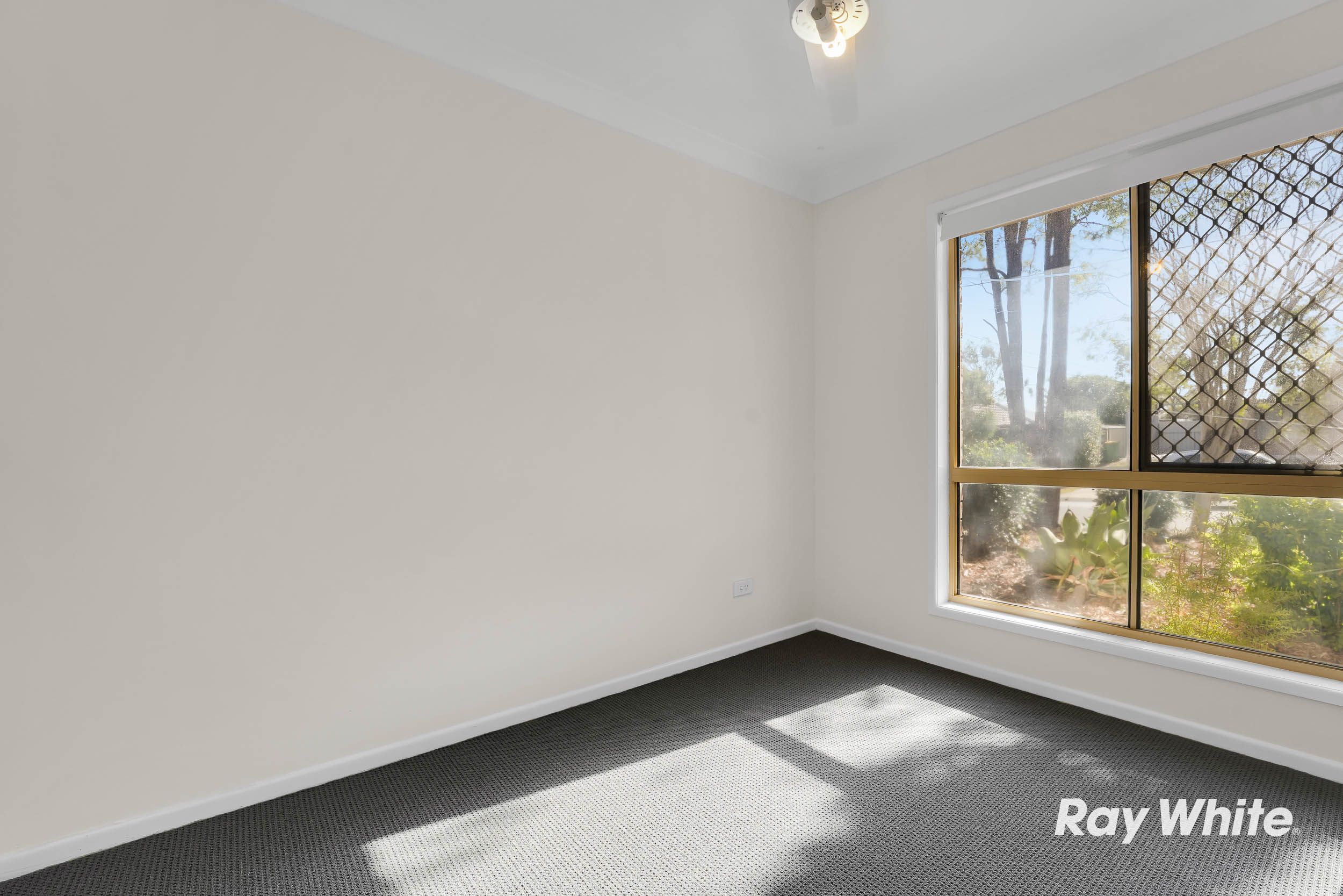 14 Dombeyah Street — photo 10 of 26