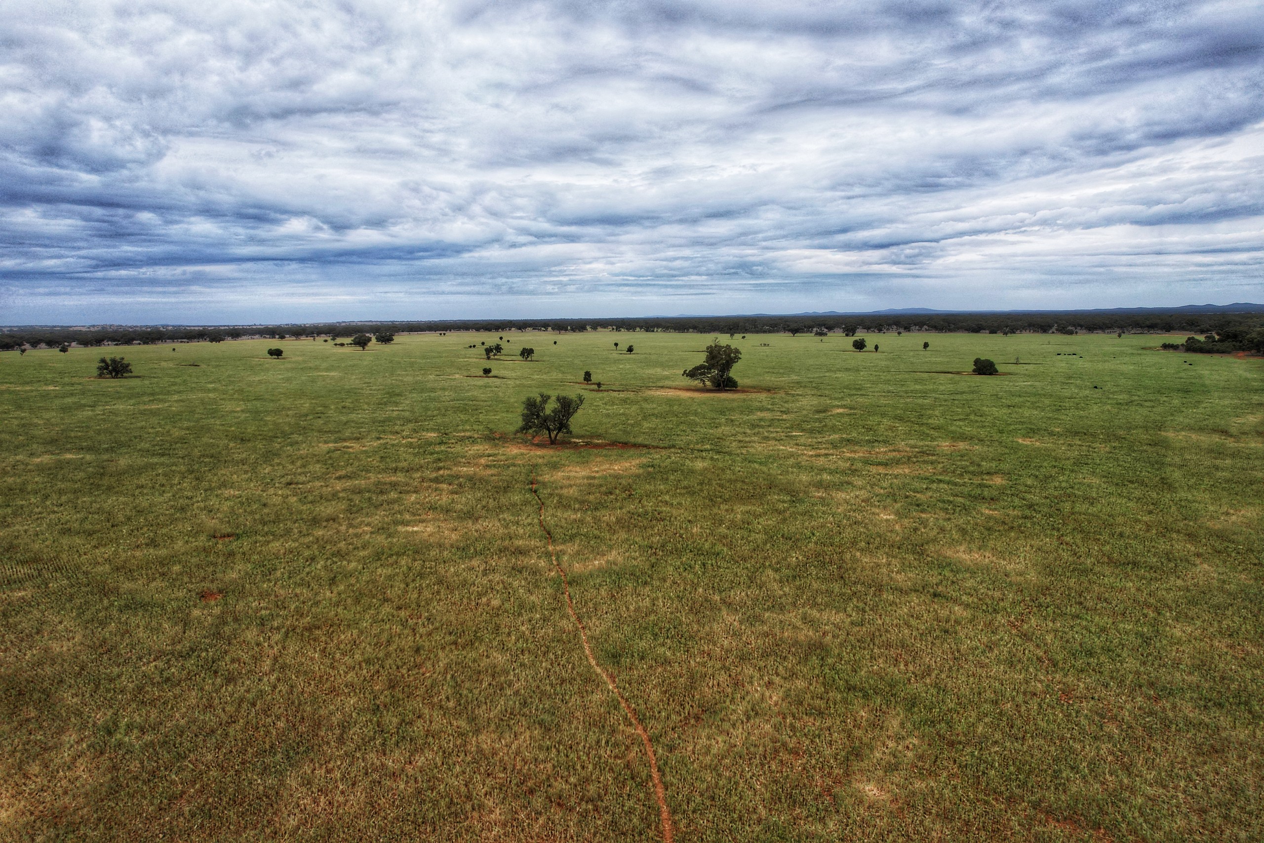 'Napunyah' 1224 Eremeran Road, Condobolin, NSW 2877
