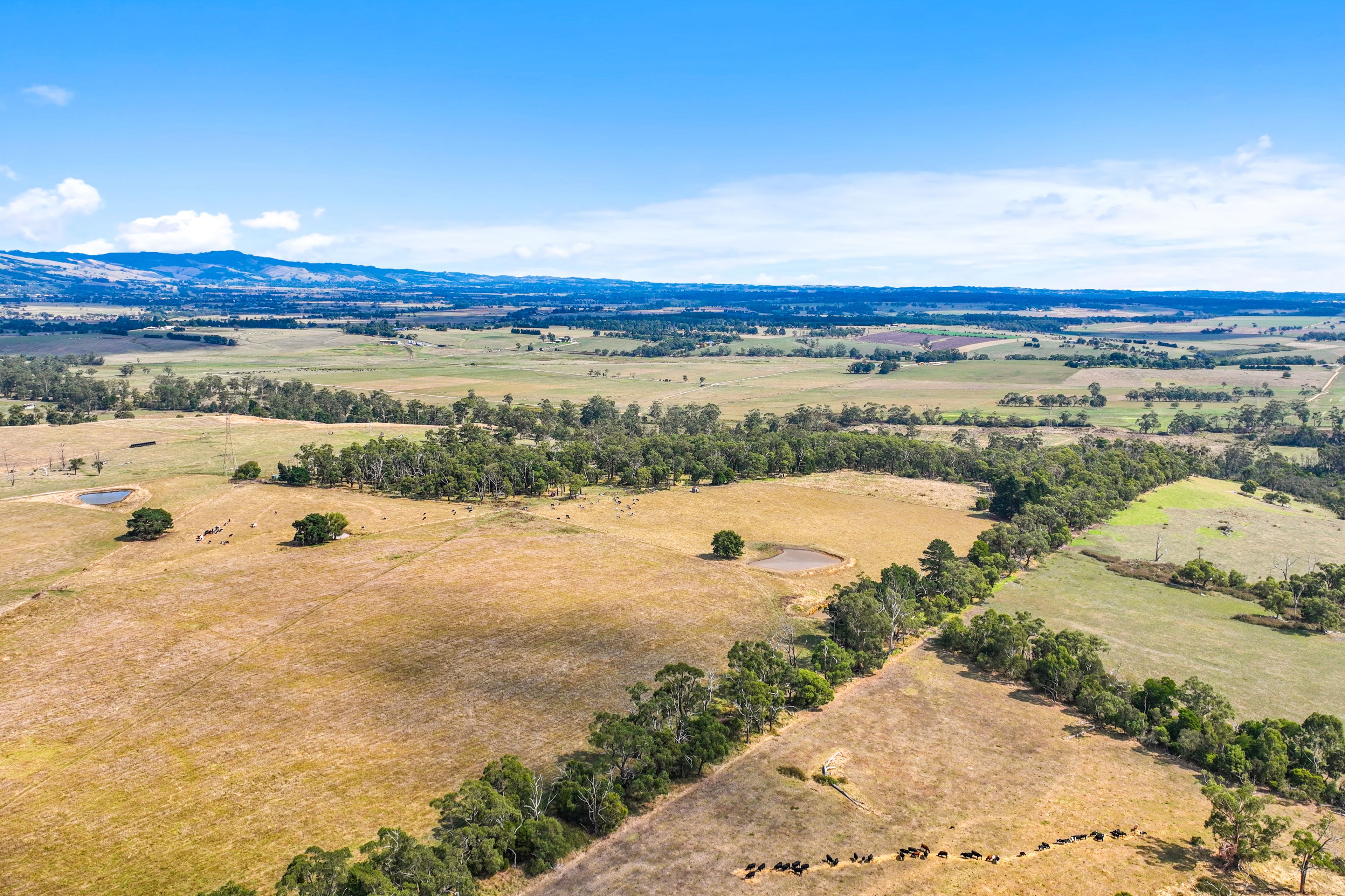 199 Orchard Road, Yarragon, VIC 3823 Rural Mixed Farming Property for