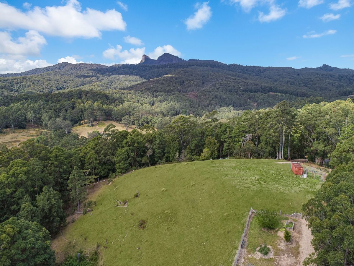 77 Tyalgum Ridge Road, Tyalgum, NSW 2484 Sold Rural Lifestyle