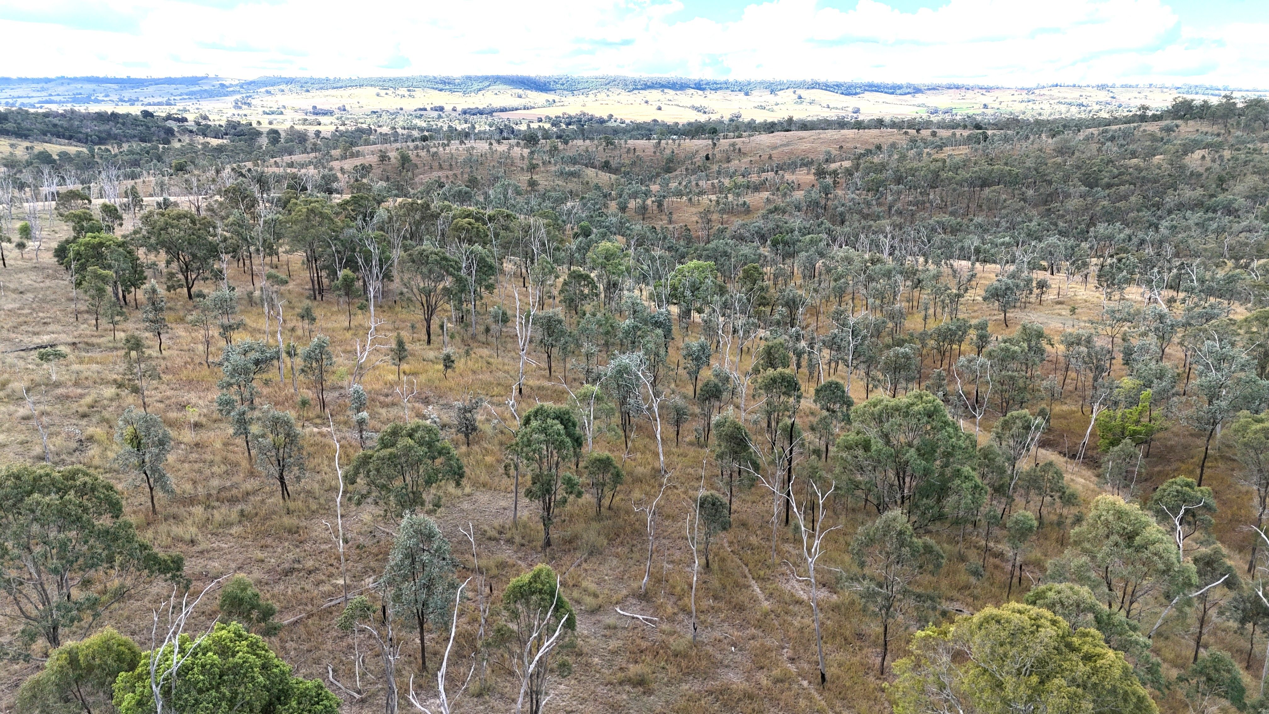 Lot 1 The Weir Road — photo 13 of 16