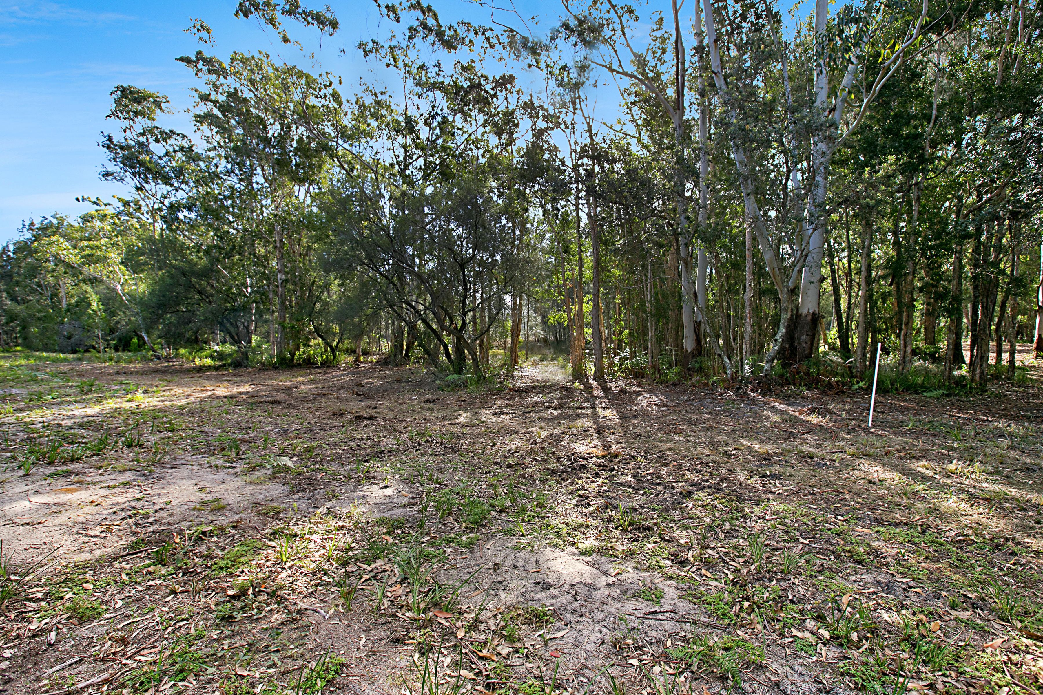Lot 1 Nardoo Street, Pindimar, NSW 2324 Land for Sale Ray White Tea