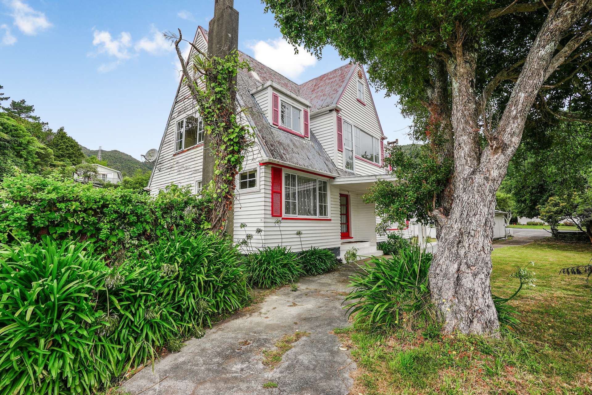 117 Horoeka Street photo 7
