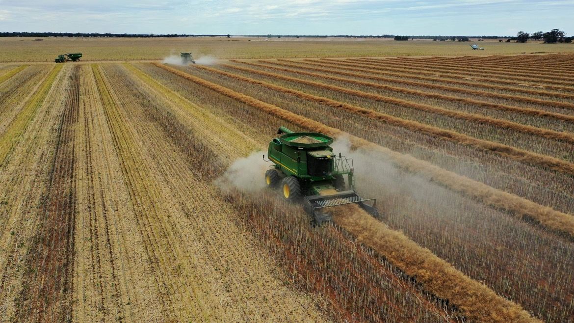 258 Cemetery Road, Quambatook, VIC 3540 Rural Cropping Property for