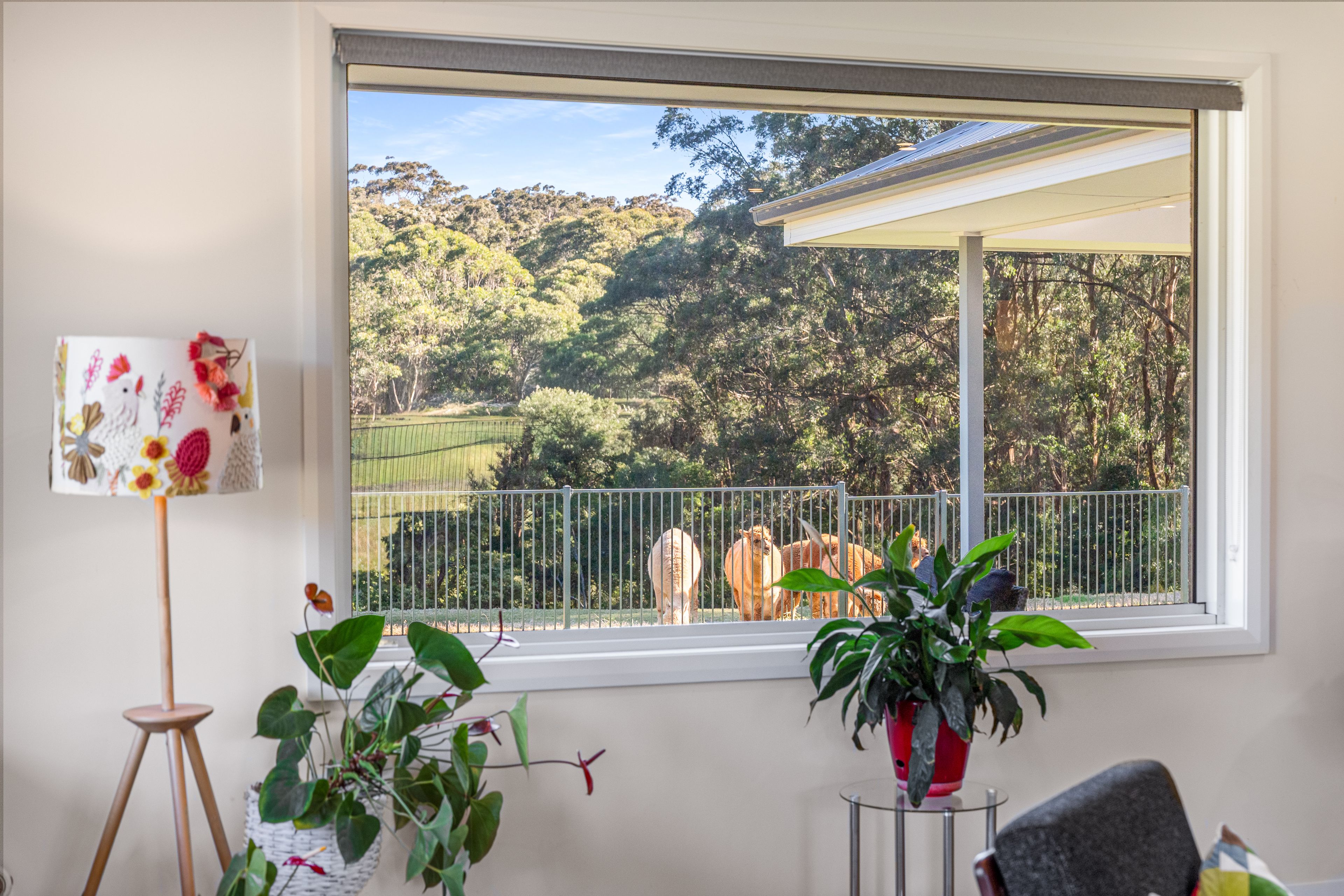 1396 Nowra Road — photo 7 of 25