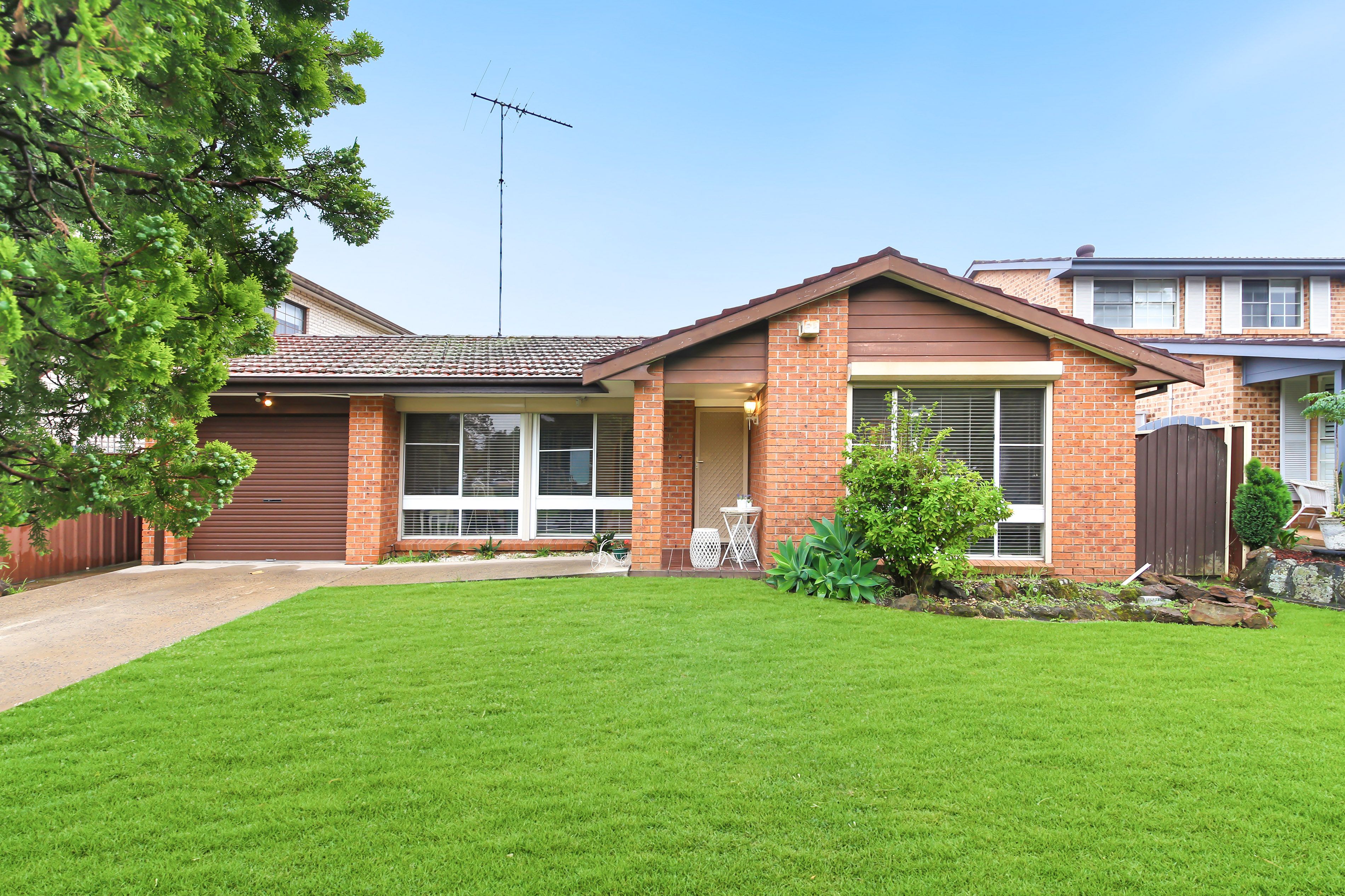 67 Higgins Street