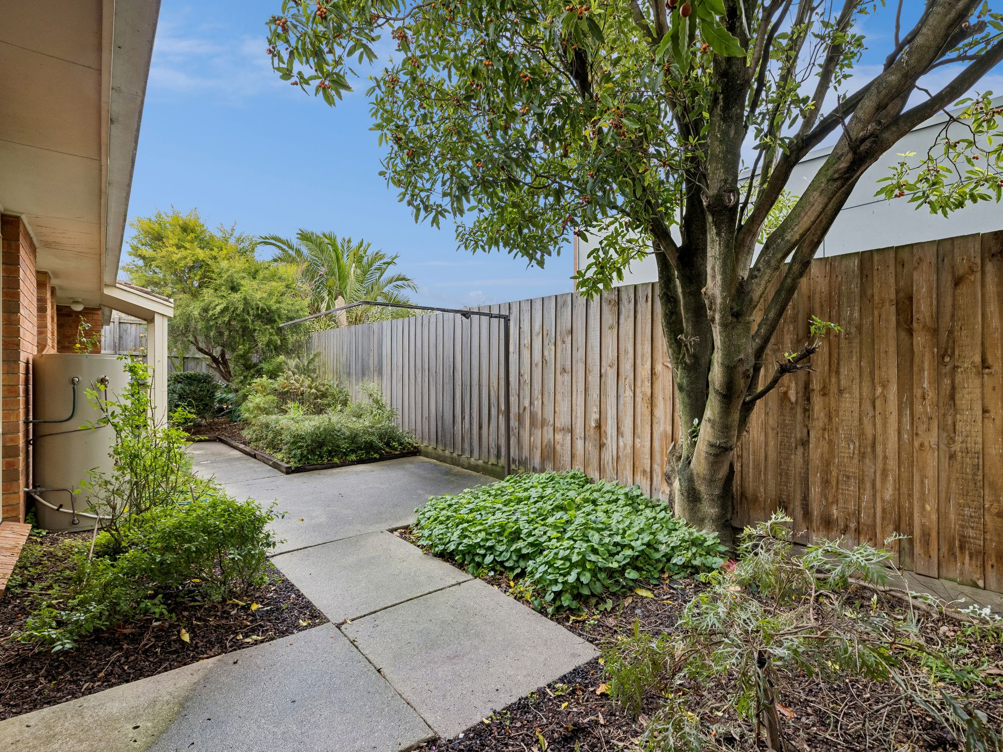 2/221 Graham Street — photo 12 of 14