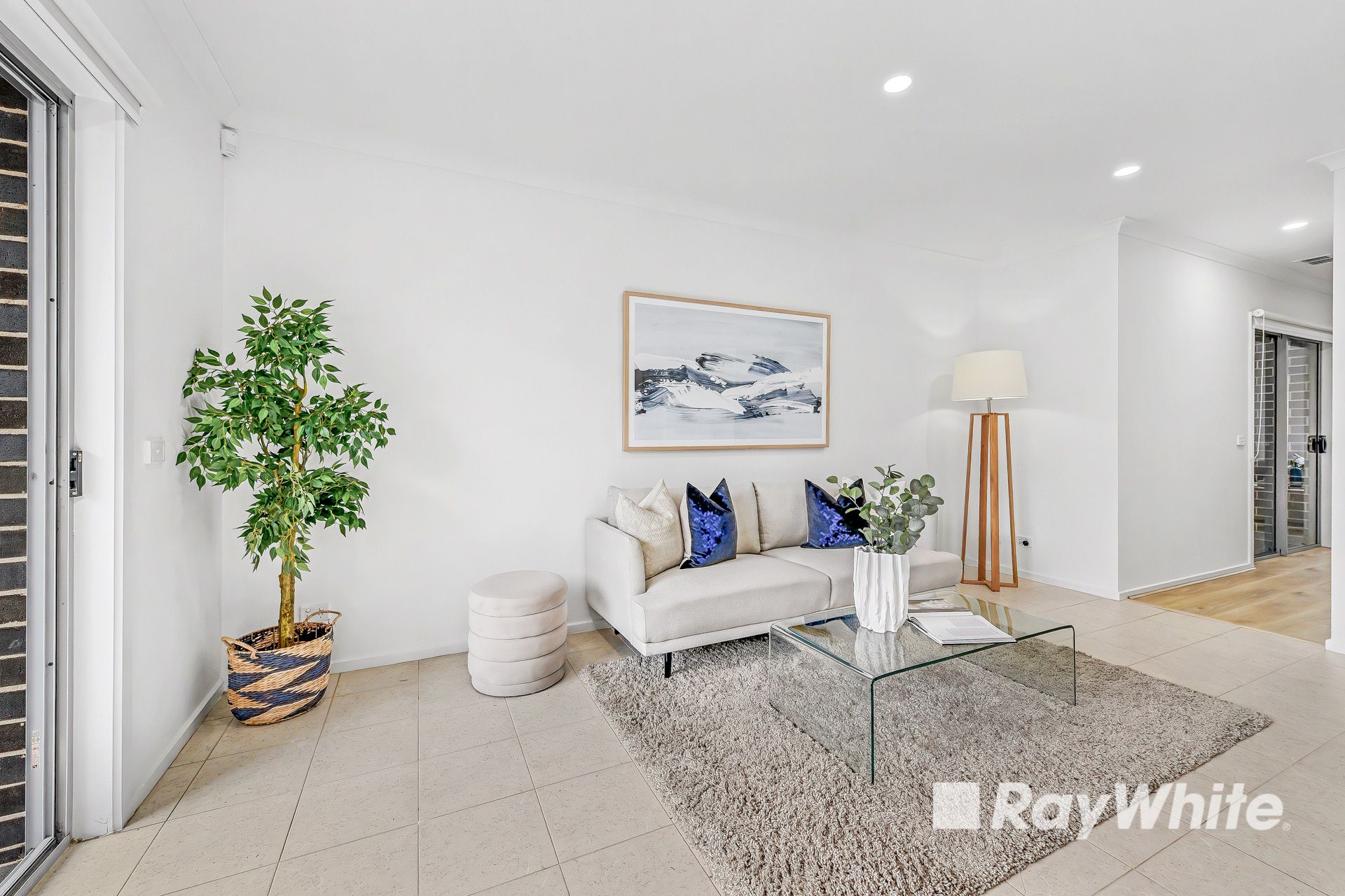 16 Everitt Street — photo 4 of 13