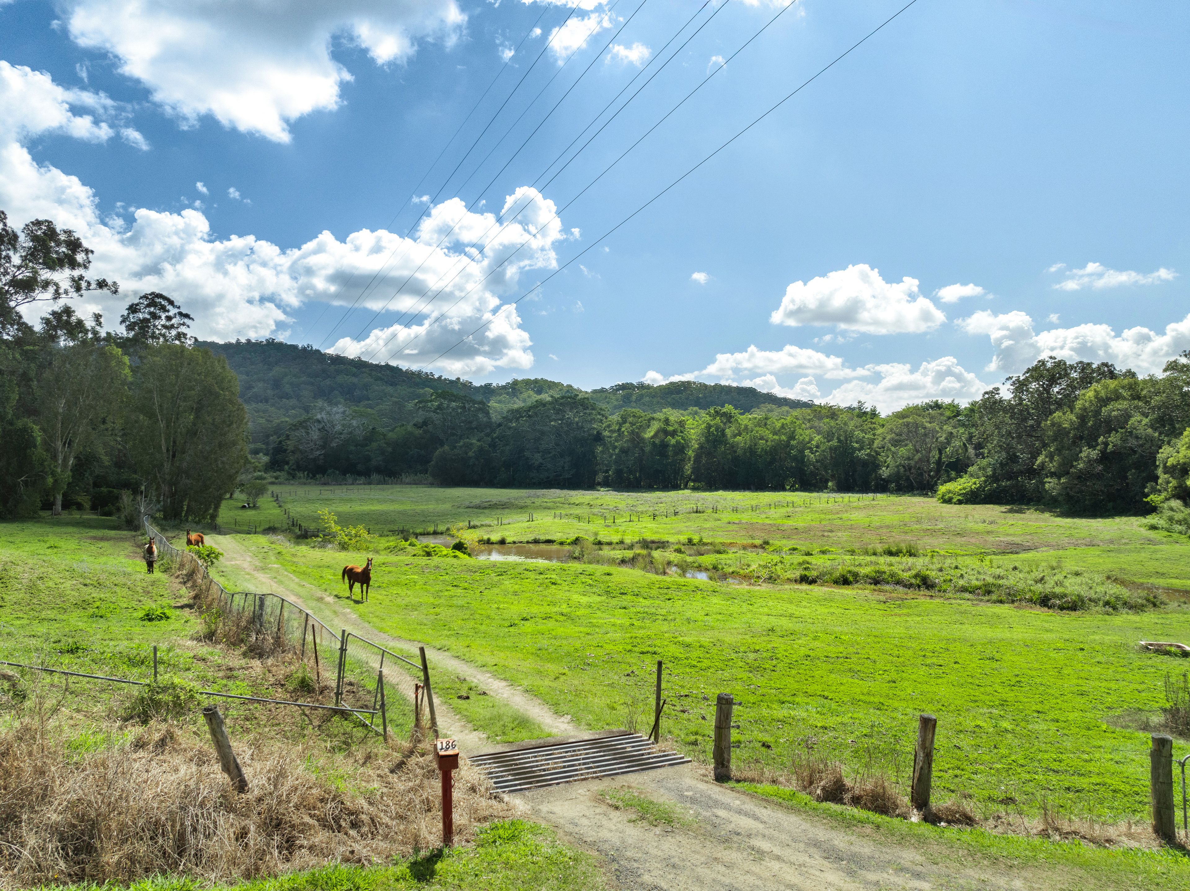 Diamond Valley Road — photo 7 of 11