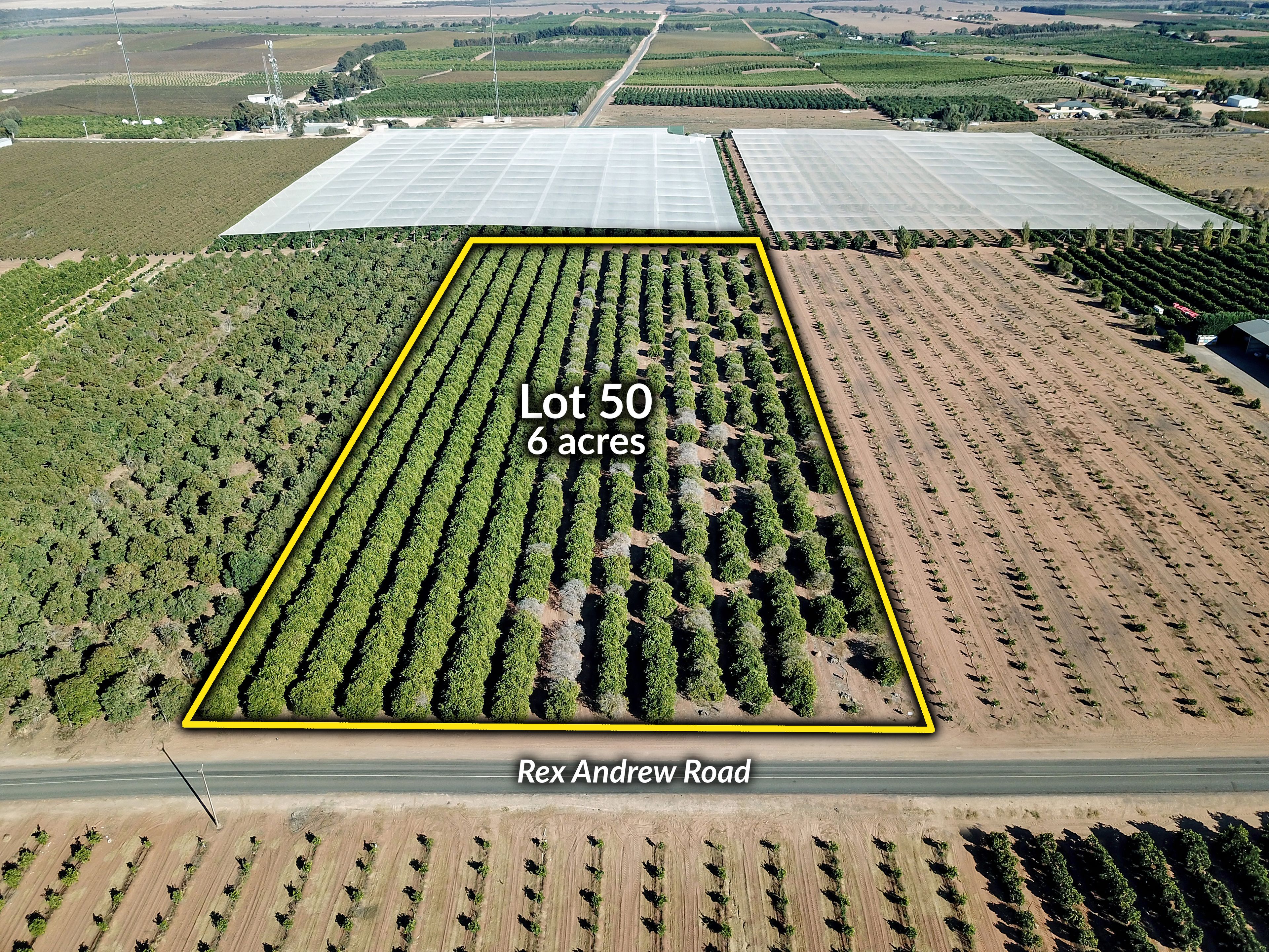 Lot 50 Rex Andrew Road, Golden Heights, SA 5322