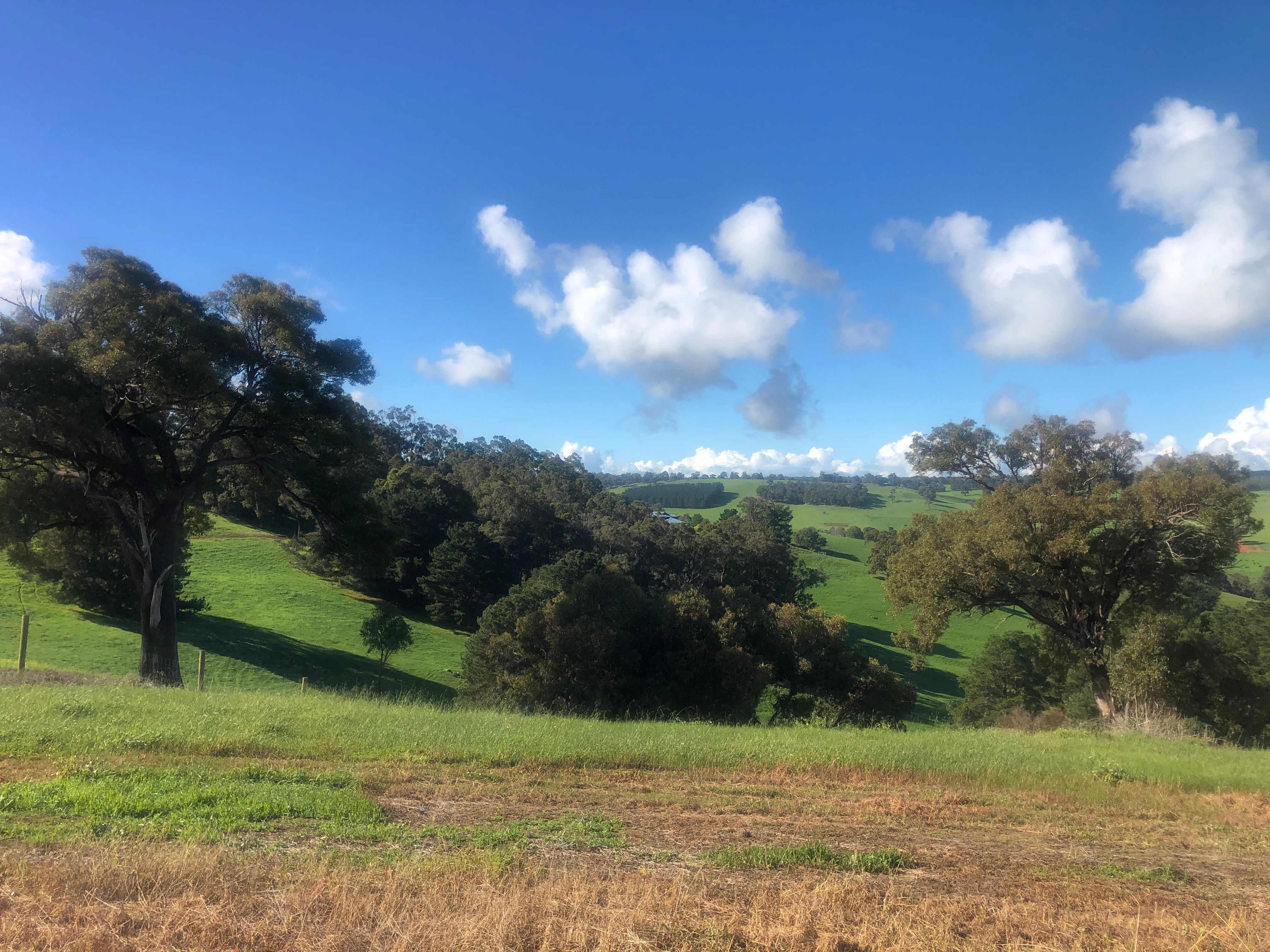 125 Golden Ash Rise, Bridgetown, WA