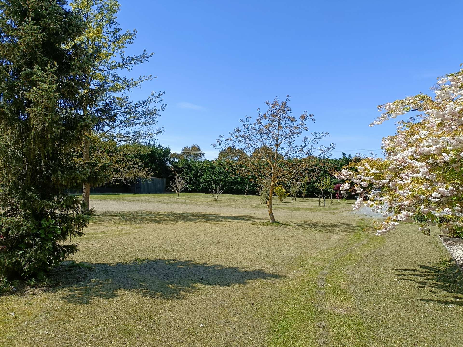 909 Downs Road photo 7