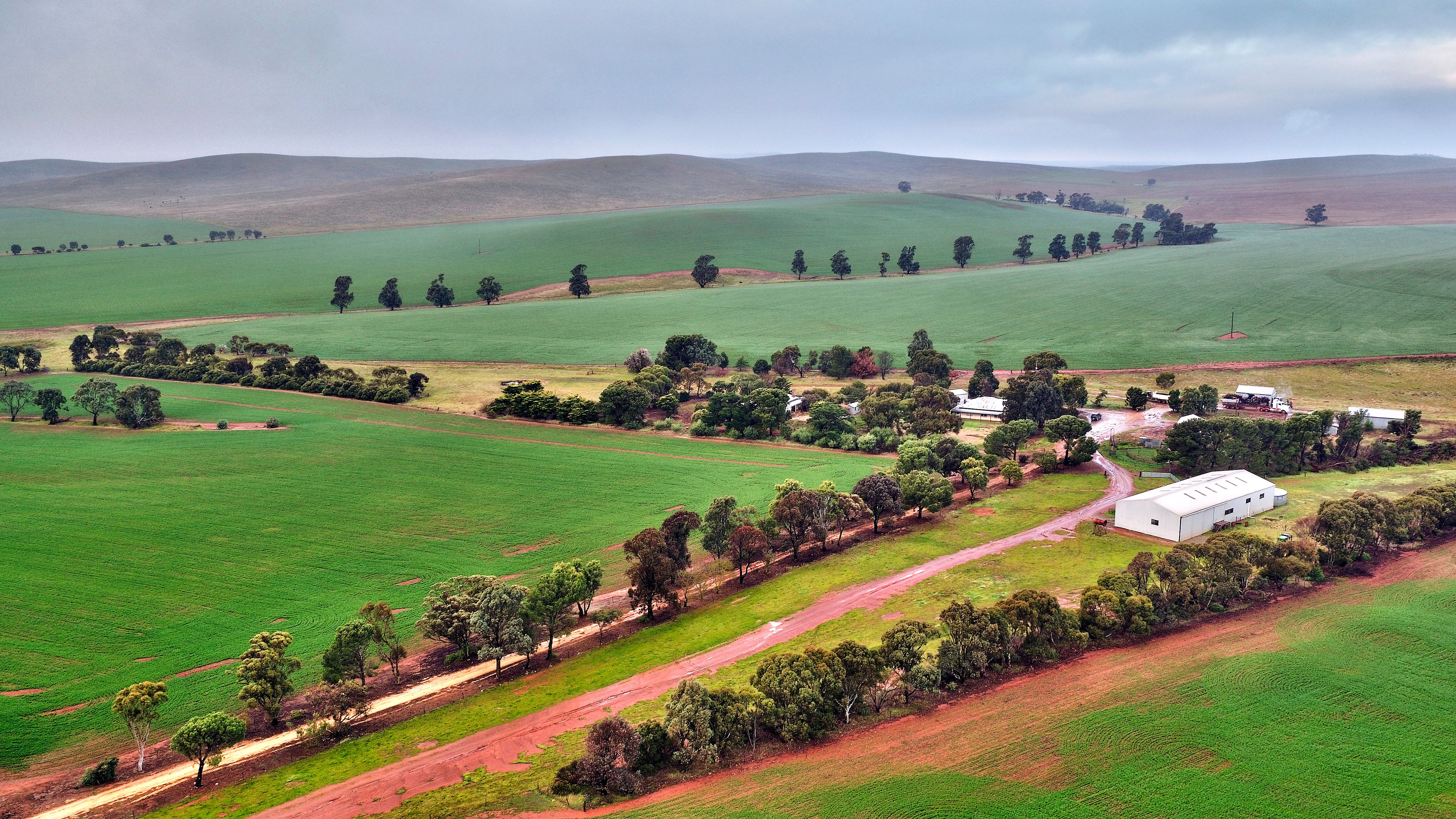 "Newikie" Old Belcunda Road, Mount Bryan SA 5418