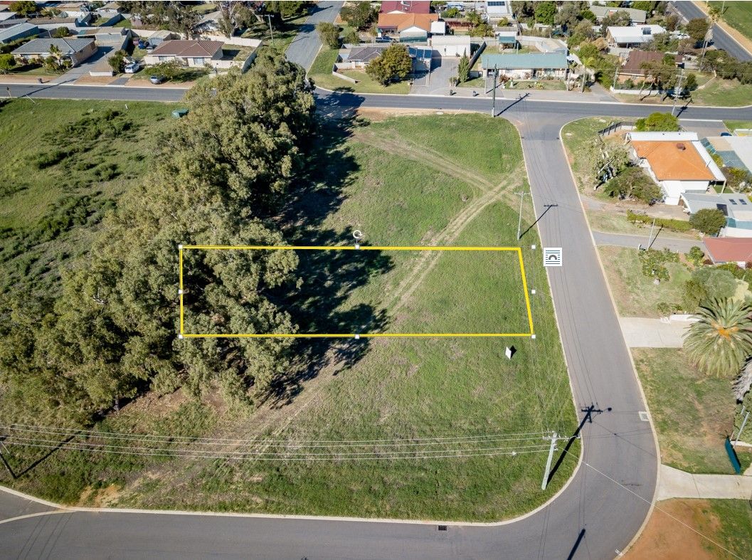4 Goldsworthy Crescent, Spalding, WA 6530