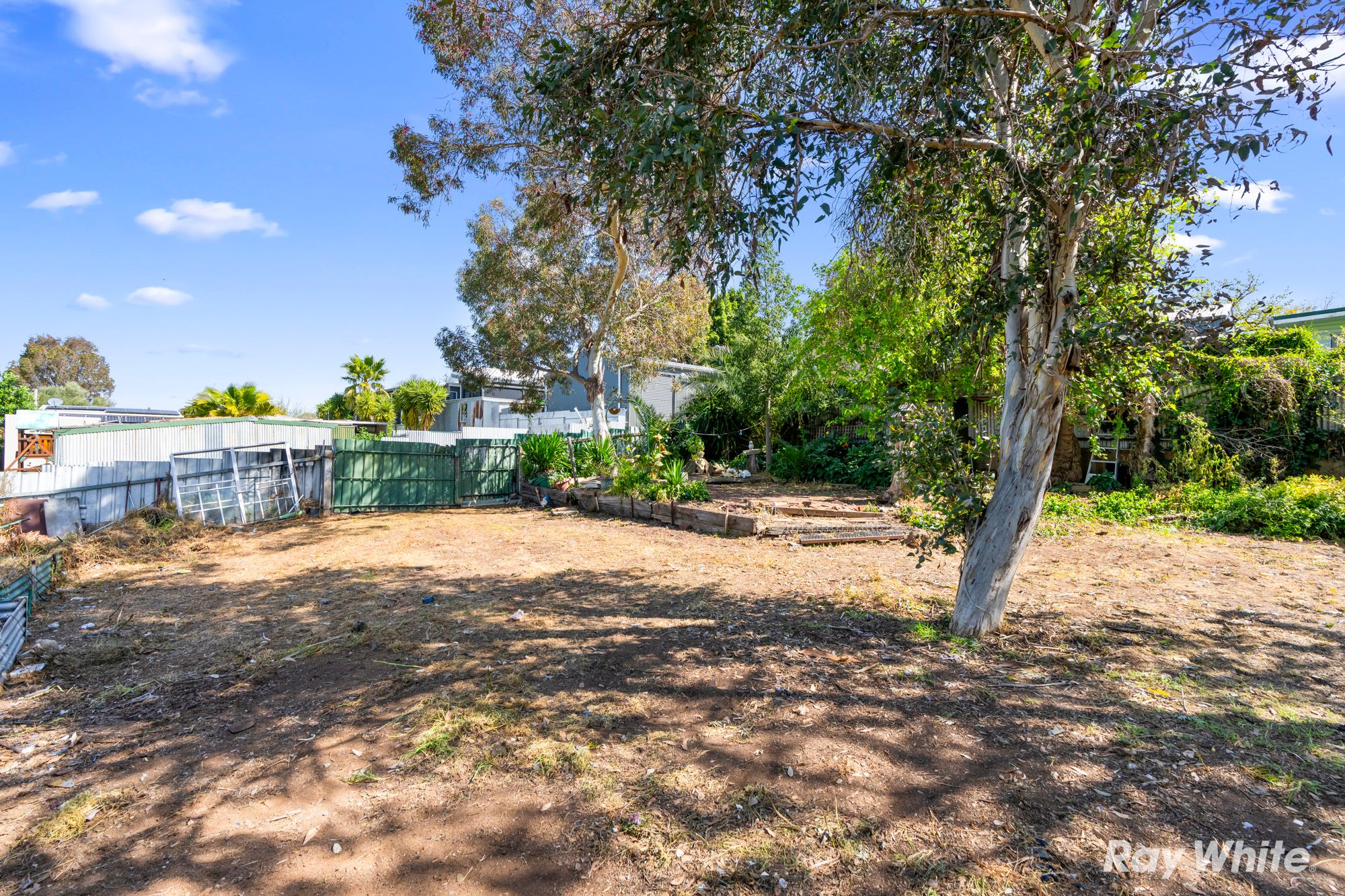 52 Kemp Street — photo 12 of 14