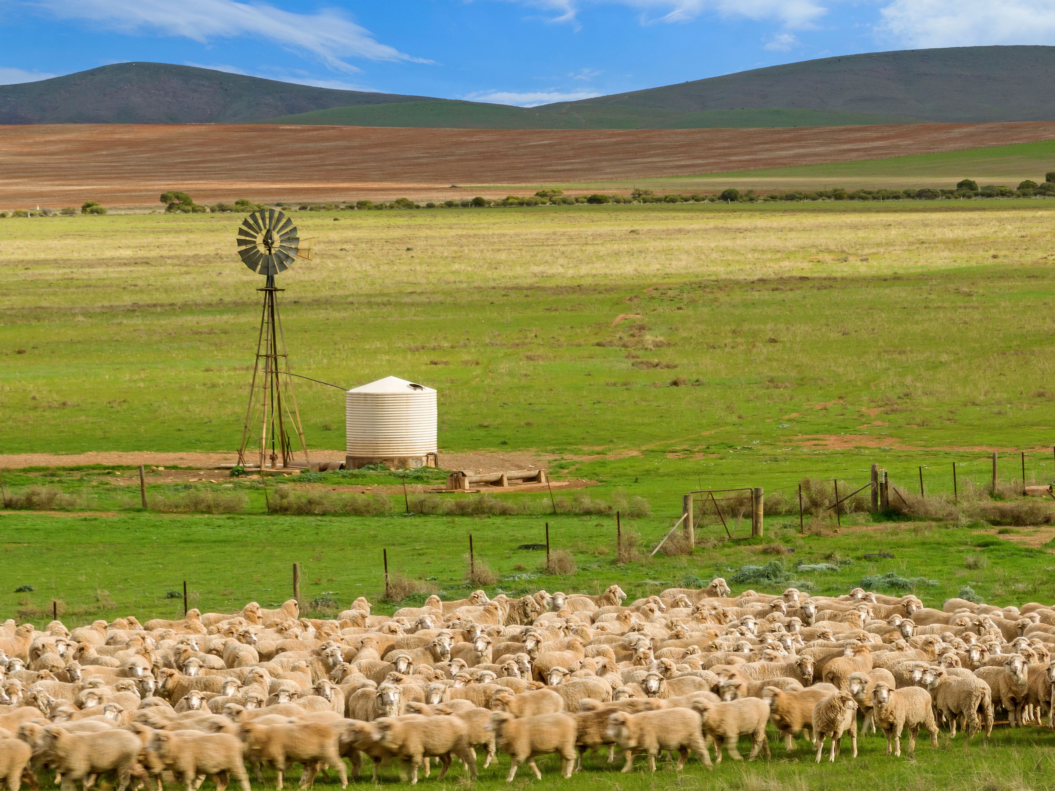 'Carinya' Goyder Highway, Burra, SA 5417 Sold Rural Mixed Farming